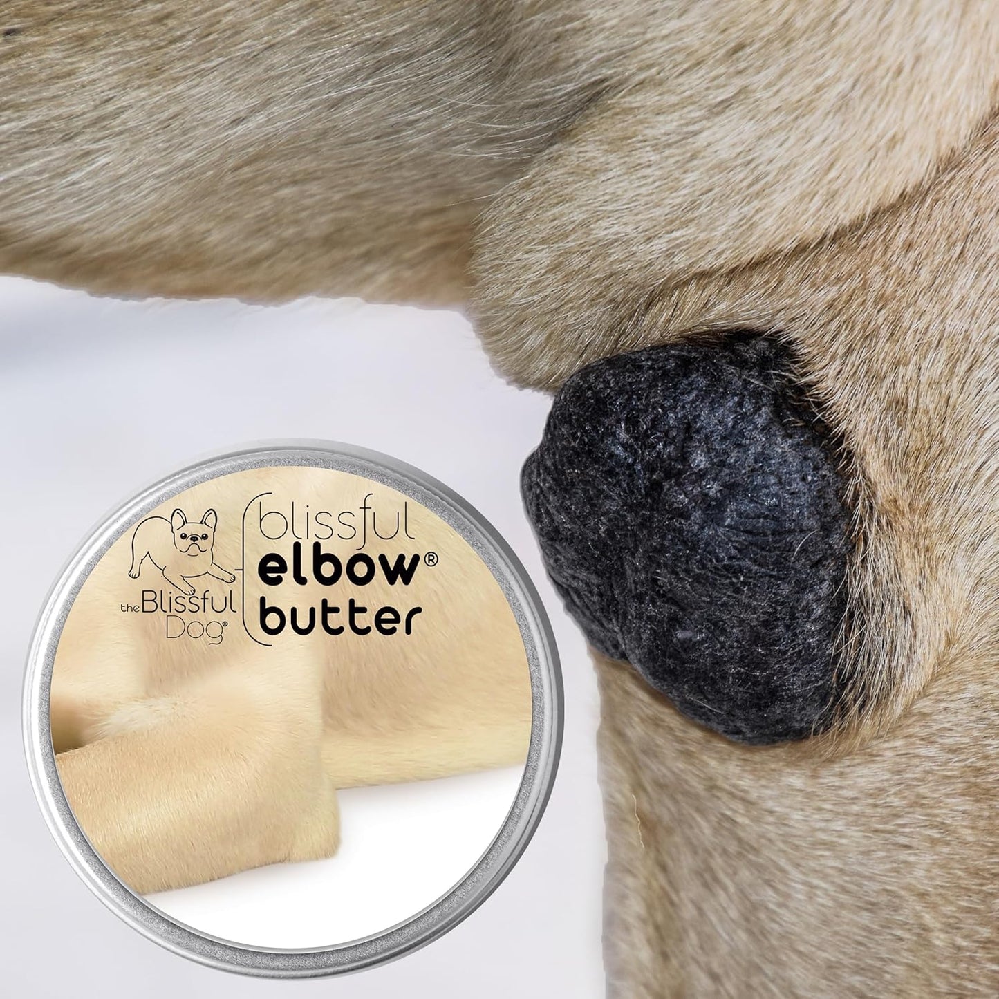 16 oz. Blissful Dog Elbow Butter: Moisturizing Balm for Dry, Cracked Elbows, Lick-Safe Dog Moisturizer