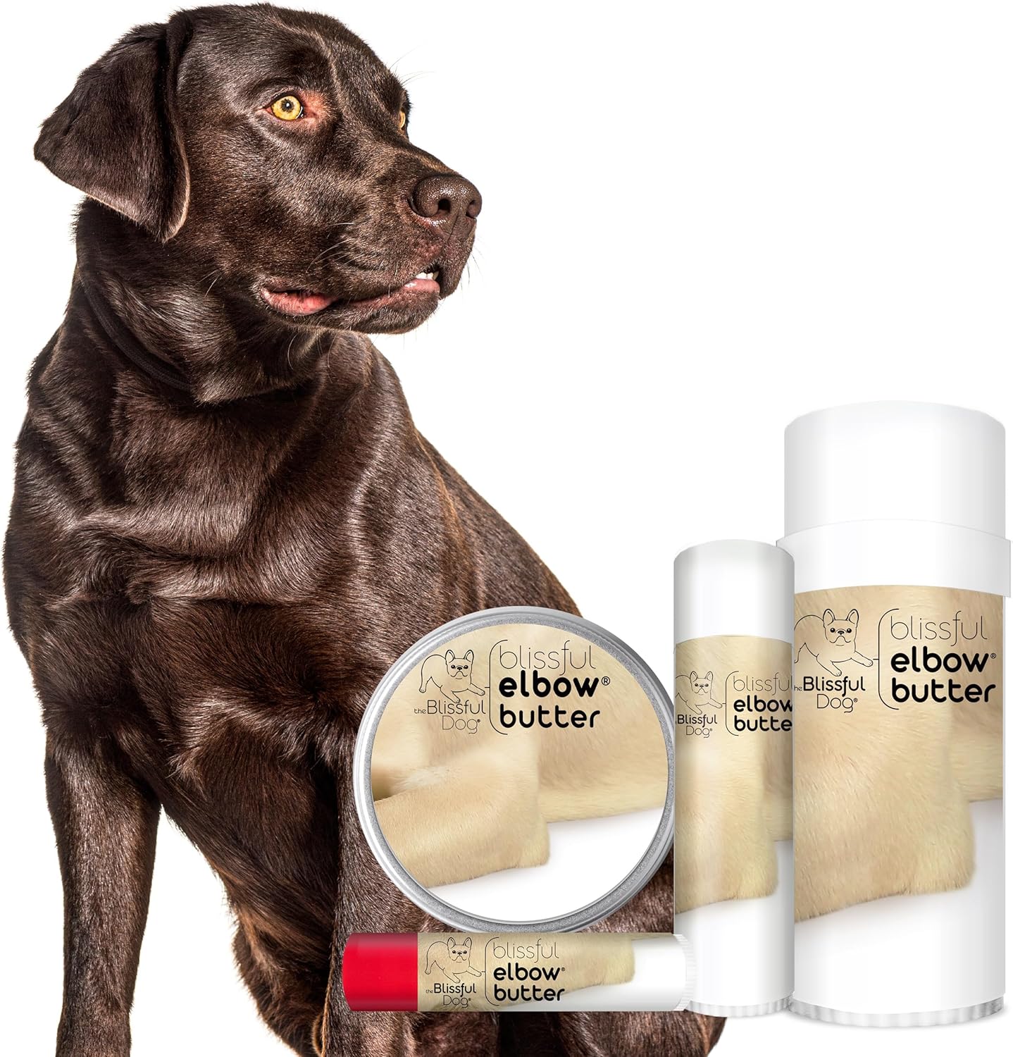16 oz. Blissful Dog Elbow Butter: Moisturizing Balm for Dry, Cracked Elbows, Lick-Safe Dog Moisturizer