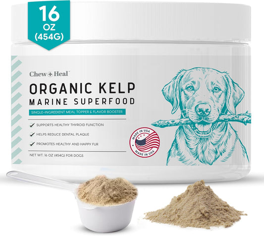 16 oz Chew + Heal Labs Kelp Powder Granules Supplement for Dogs with 5cc Spoon - Promotes Thyroid Health, Dental Hygiene, and Skin - USA Made