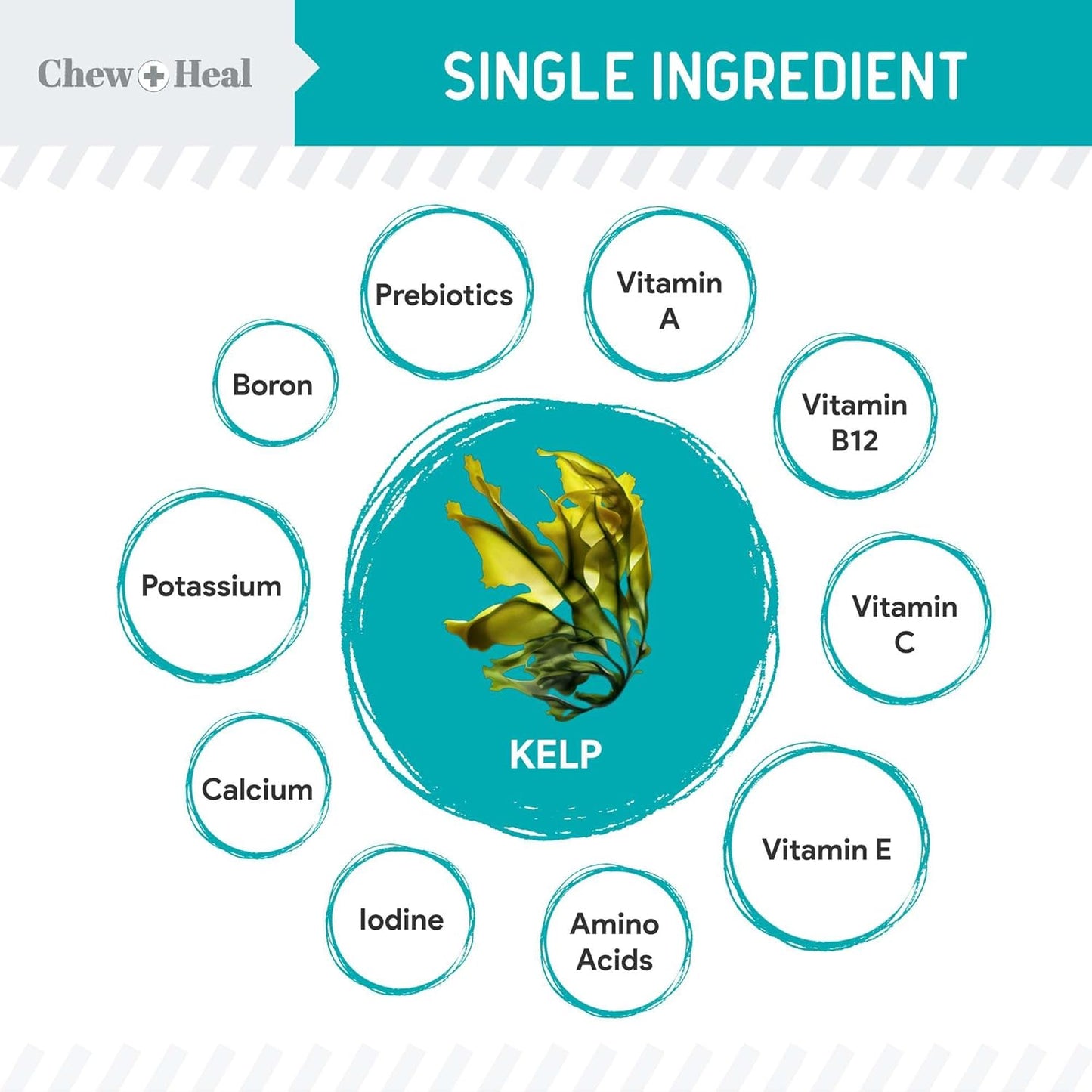 16 oz Chew + Heal Labs Kelp Powder Granules Supplement for Dogs with 5cc Spoon - Promotes Thyroid Health, Dental Hygiene, and Skin - USA Made