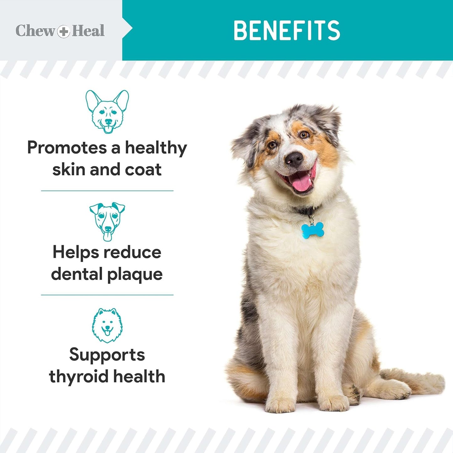 16 oz Chew + Heal Labs Kelp Powder Granules Supplement for Dogs with 5cc Spoon - Promotes Thyroid Health, Dental Hygiene, and Skin - USA Made