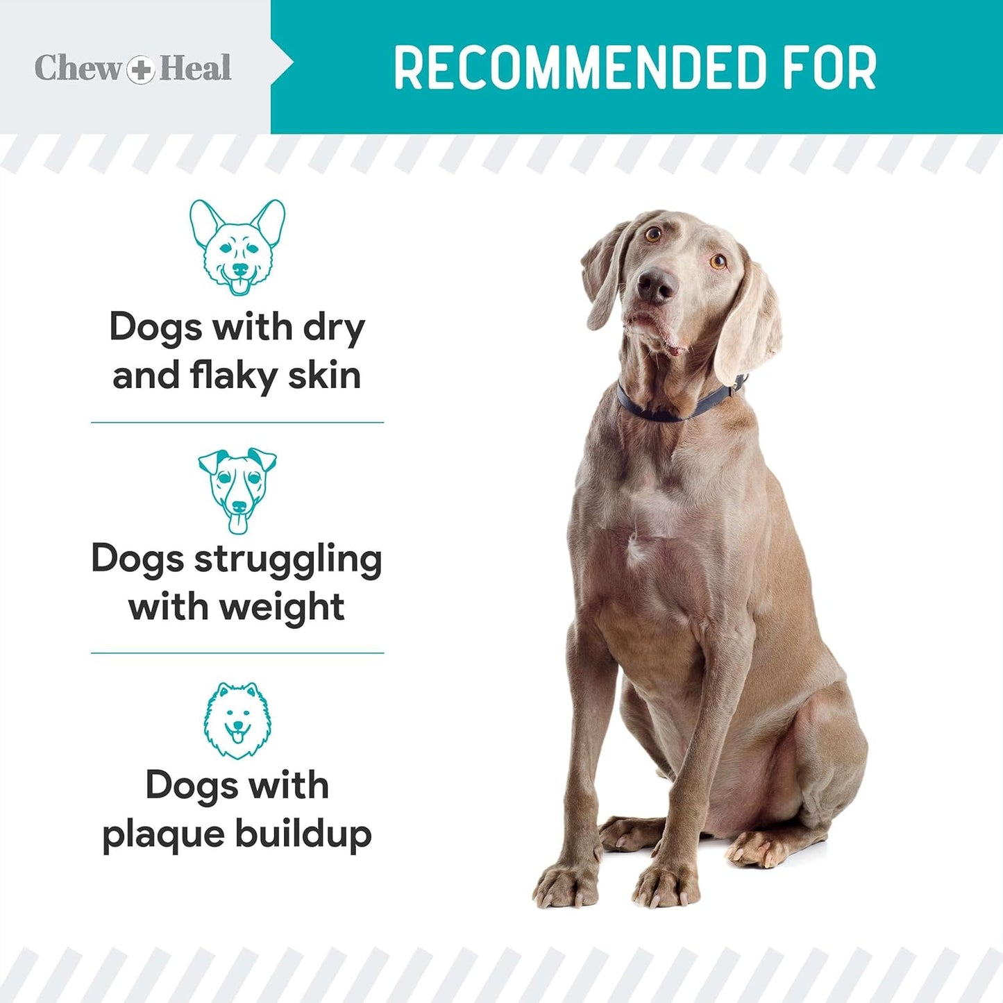 16 oz Chew + Heal Labs Kelp Powder Granules Supplement for Dogs with 5cc Spoon - Promotes Thyroid Health, Dental Hygiene, and Skin - USA Made