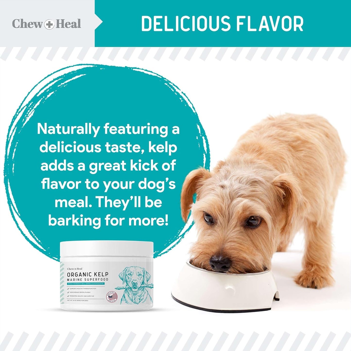 16 oz Chew + Heal Labs Kelp Powder Granules Supplement for Dogs with 5cc Spoon - Promotes Thyroid Health, Dental Hygiene, and Skin - USA Made