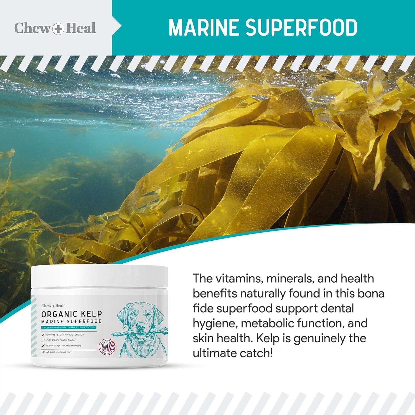 16 oz Chew + Heal Labs Kelp Powder Granules Supplement for Dogs with 5cc Spoon - Promotes Thyroid Health, Dental Hygiene, and Skin - USA Made