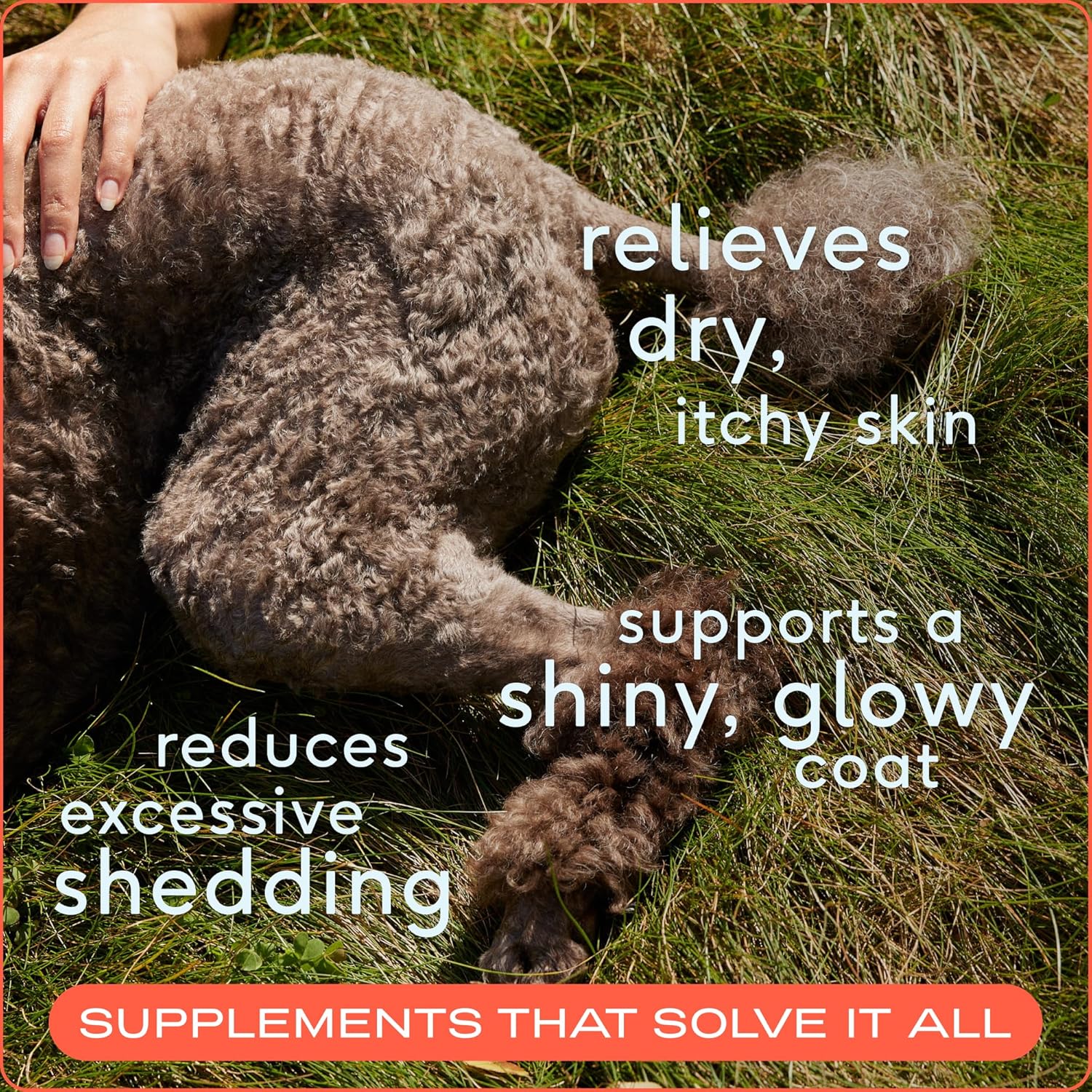 16 oz Native Pet Omega 3 Fish Oil for Dogs with EPA DHA - Easy-Serve Liquid Pump - Supports Skin & Mobility - Pollock & Salmon Omega 3 Supplements