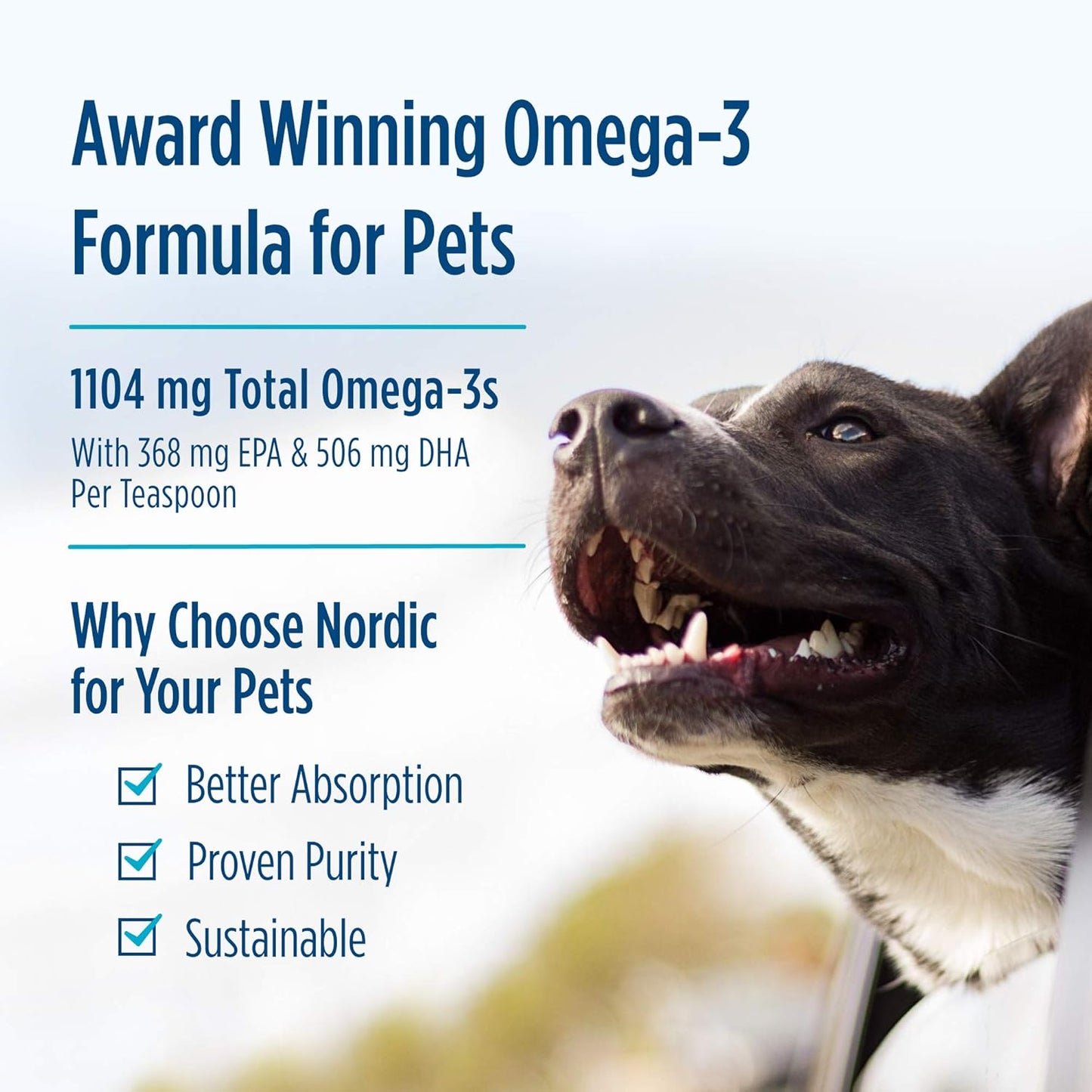 16 oz Nordic Naturals Unflavored Pet Cod Liver Oil - 1104 mg Omega-3 Per Teaspoon - Fish Oil for Dogs with EPA & DHA - Supports Skin, Coat, & Immune Health