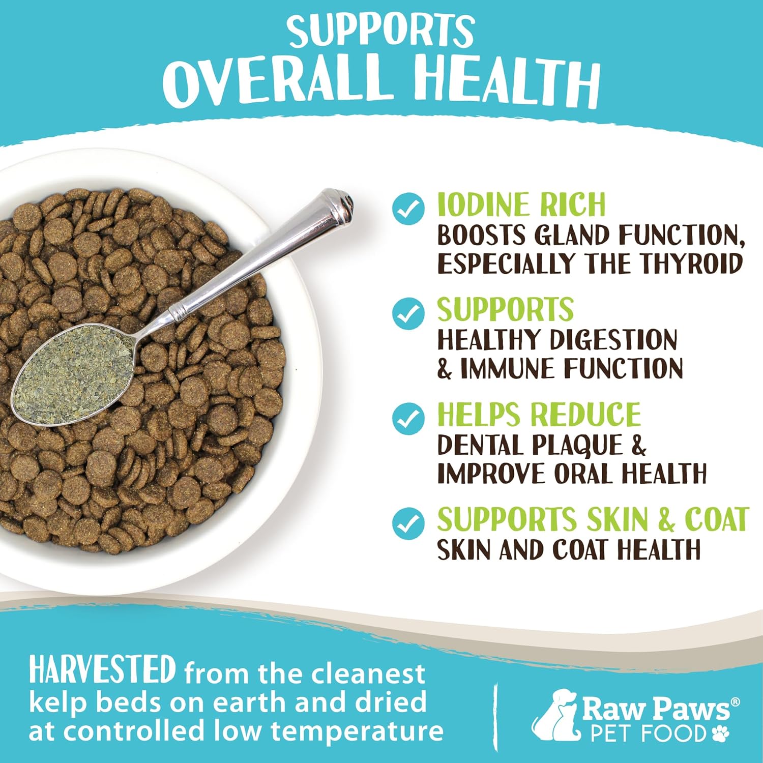 16-oz Raw Paws Organic Kelp Supplement for Dogs & Cats - Iodine-Rich Seaweed Powder for Thyroid & Immune Health