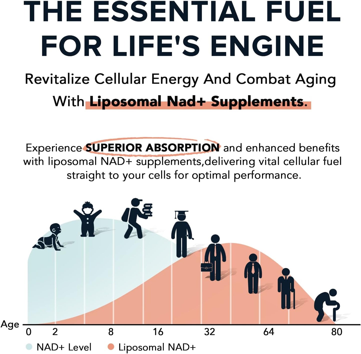 1600 mg Liposomal NAD Supplement for Aging Defense & Energy - 98% Pure NAD+ - Superior Absorption - Alternative to NR or NADH - 480 Softgels