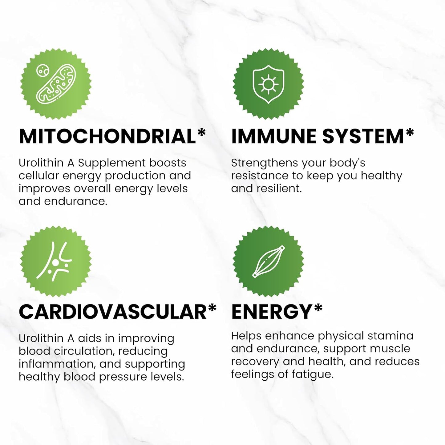 1600MG CNCHEF Urolithin A Supplement for Cellular Energy and Healthy Aging - 90 Softgels