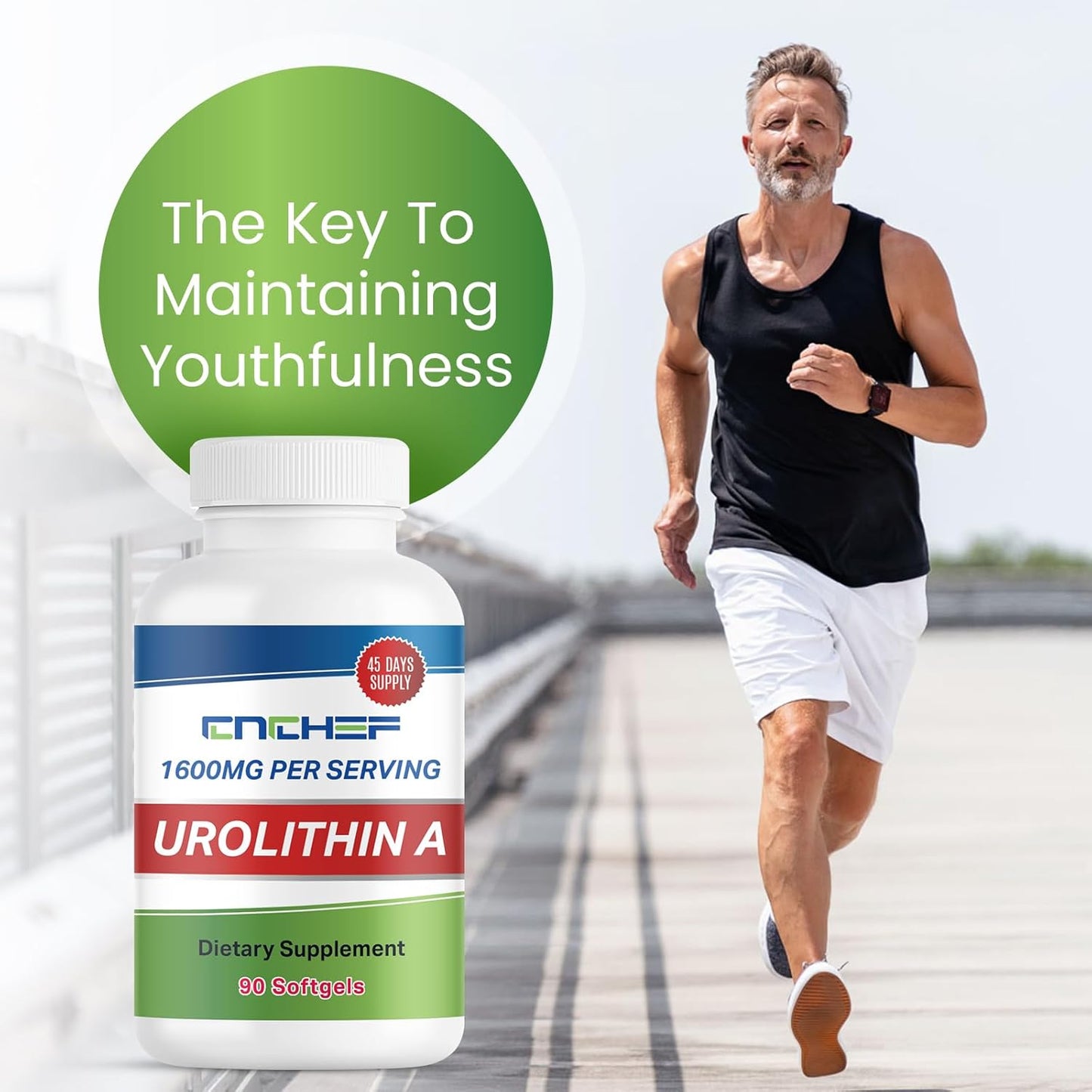 1600MG CNCHEF Urolithin A Supplement for Cellular Energy and Healthy Aging - 90 Softgels