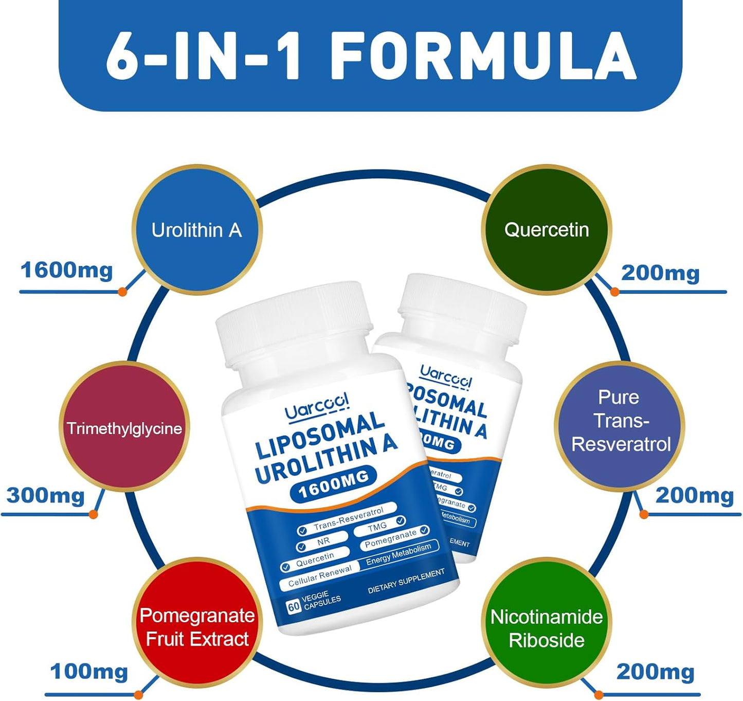 1600mg Liposomal Urolithin A Supplement for Muscle Strength and Energy - Lab Verified - 60 Softgels
