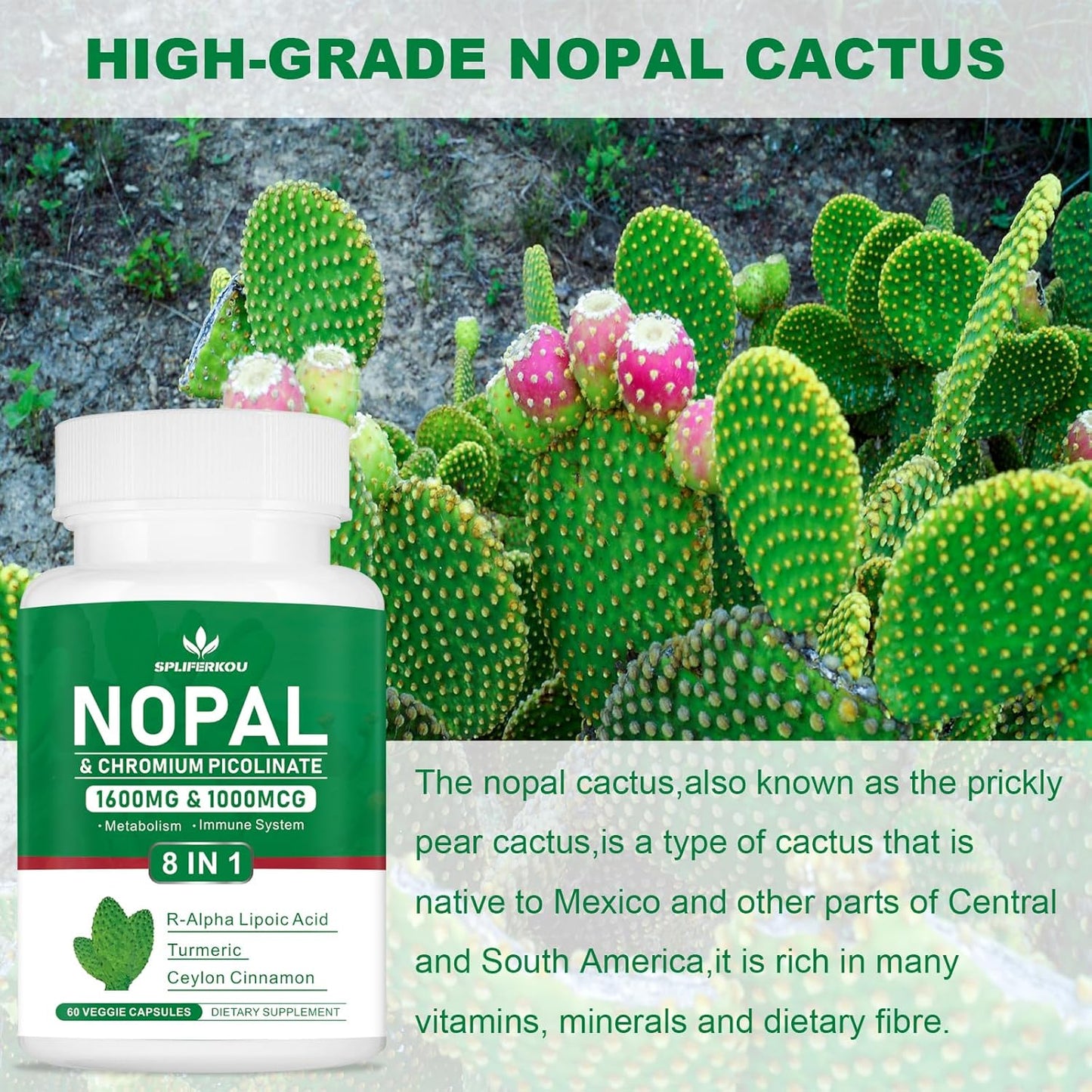 1600mg Super Nopal Prickly Pear Supplement with R-Alpha Lipoic Acid & Turmeric - 120 Capsules