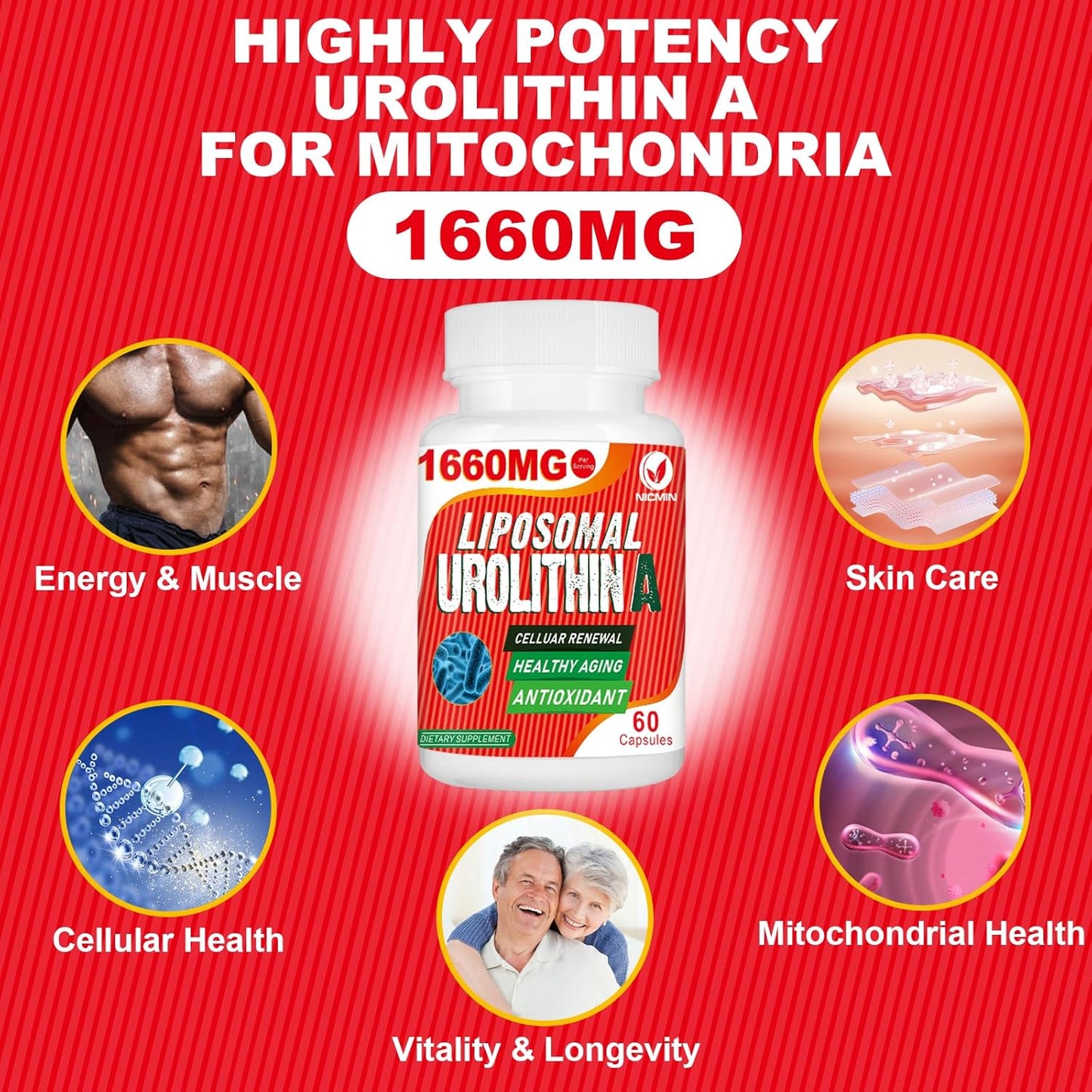 1660MG Liposomal Urolithin A Supplement - 240 Capsules by NICMIN