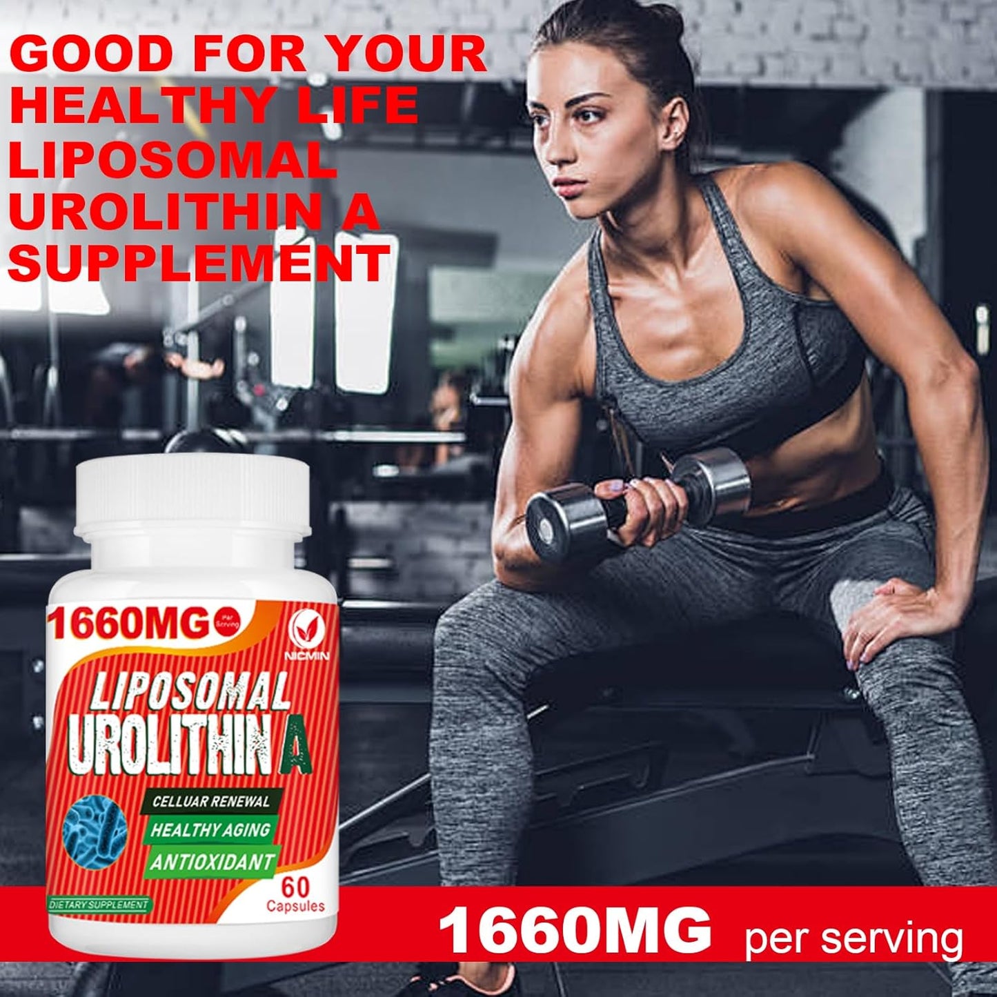 1660MG Liposomal Urolithin A Supplement - 240 Capsules by NICMIN