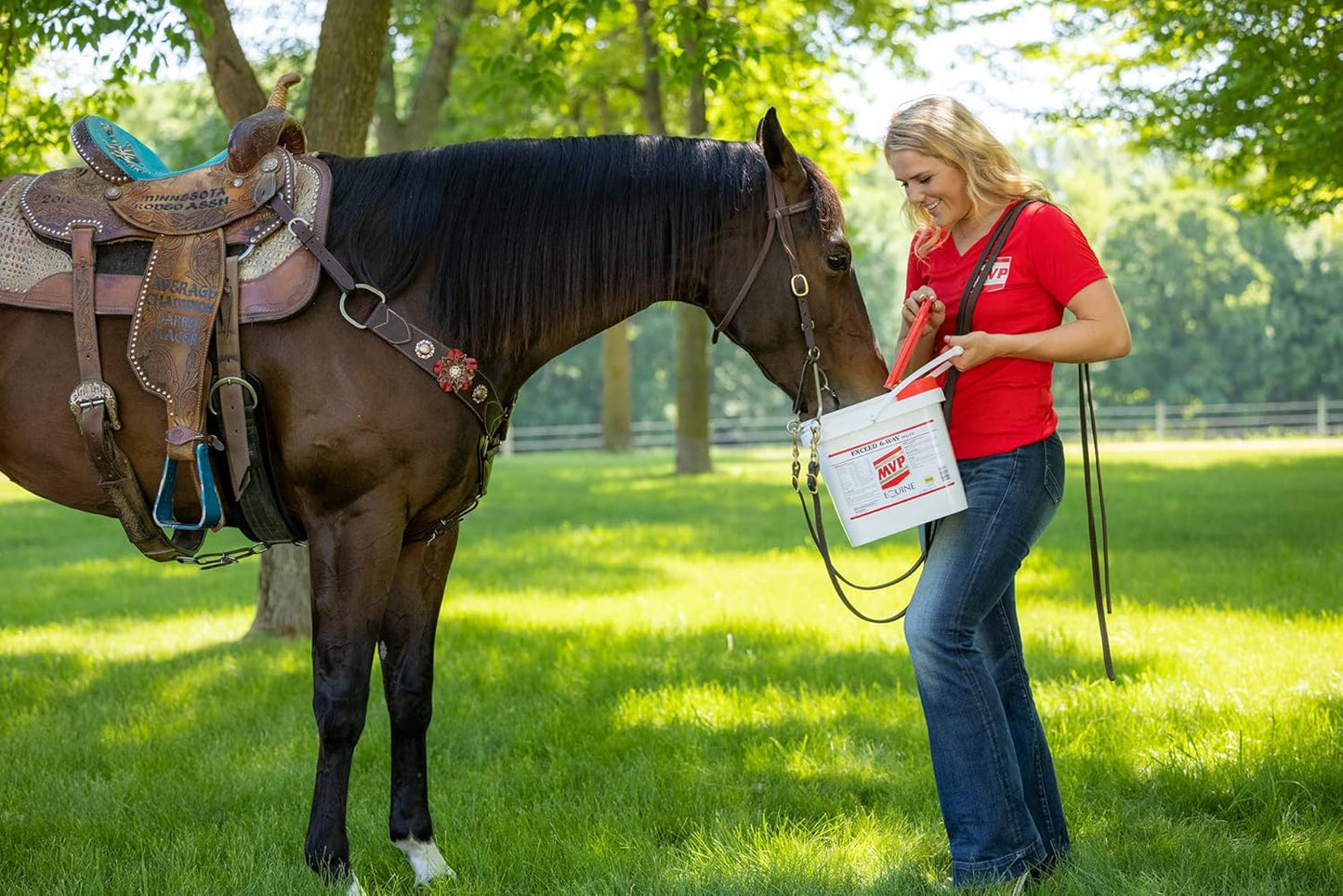 16lb Med-Vet Exceed 6-Way Pellets for Equine Health and Performance