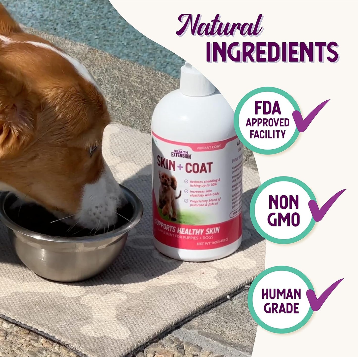 16oz Health Extension Skin & Coat Supplement for Dogs - Omega 3 & 6 Rich Formula to Reduce Shedding & Itching, Promotes Healthy Skin & Shiny Coat for Puppies