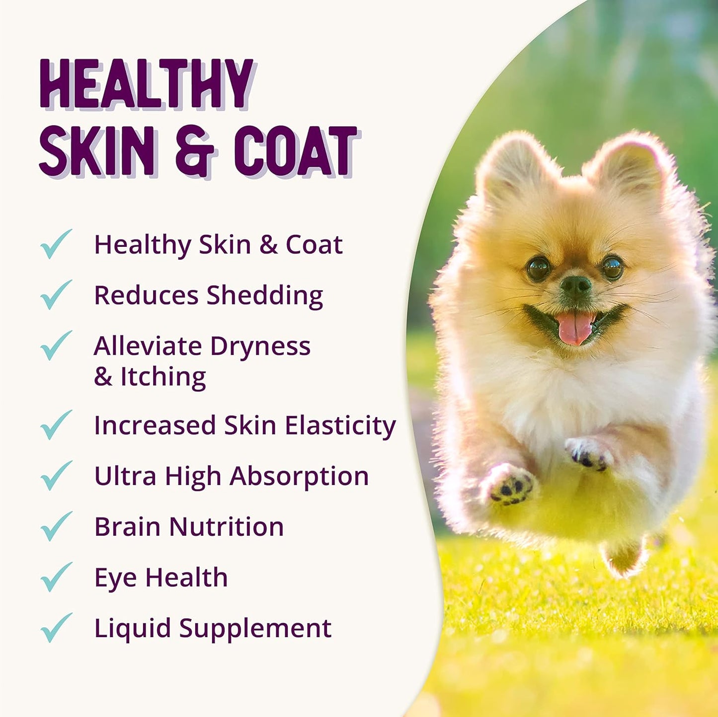 16oz Health Extension Skin & Coat Supplement for Dogs - Omega 3 & 6 Rich Formula to Reduce Shedding & Itching, Promotes Healthy Skin & Shiny Coat for Puppies