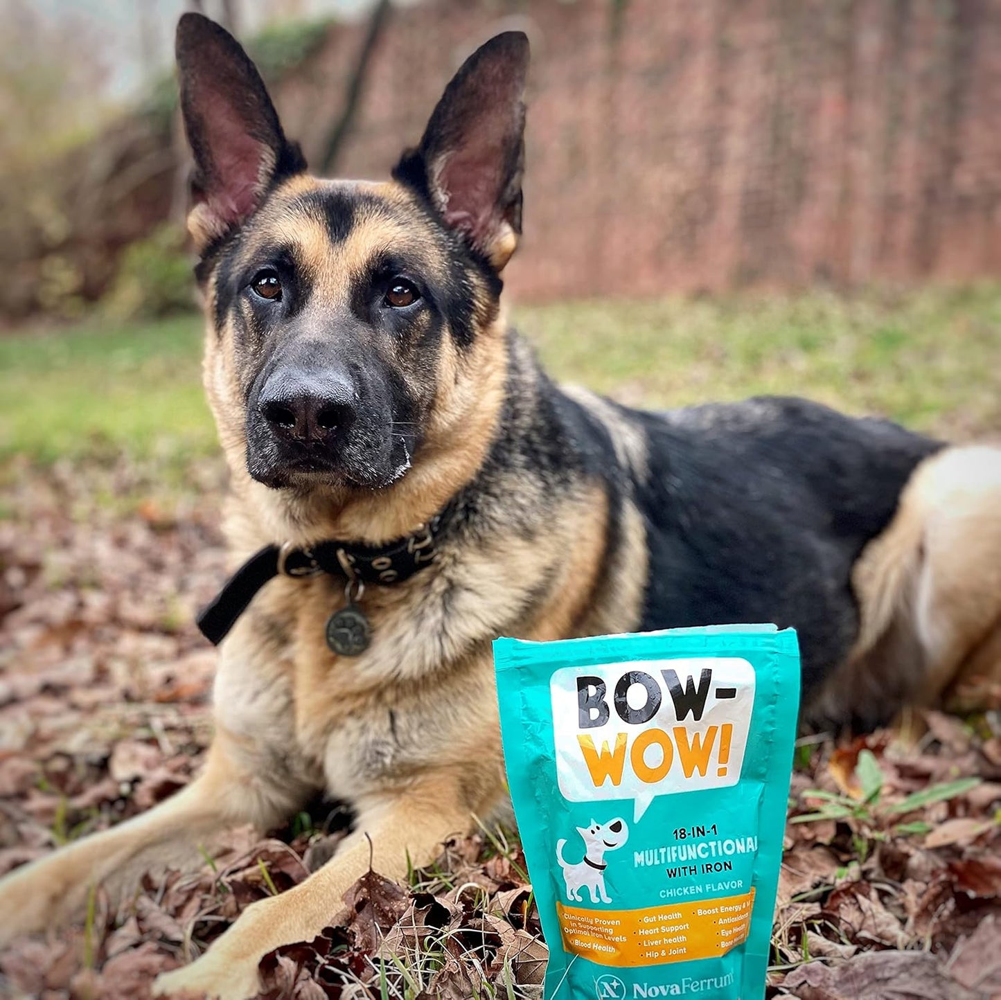 18-in-1 Multifunctional Iron Supplement for Dogs with Blood Support for Anemia, Glucosamine, Probiotics, Antioxidants, Chicken Flavor - 90 Chews