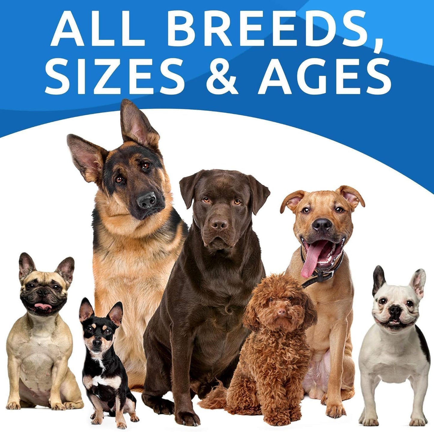 180 Allergy Relief Chews for Dogs - Skin & Coat Supplement with Omega 3 Fish Oil - Anti-Itch Treatment Pills for Itchy Skin, Paw Licking, Dry Skin, and Hot Spots