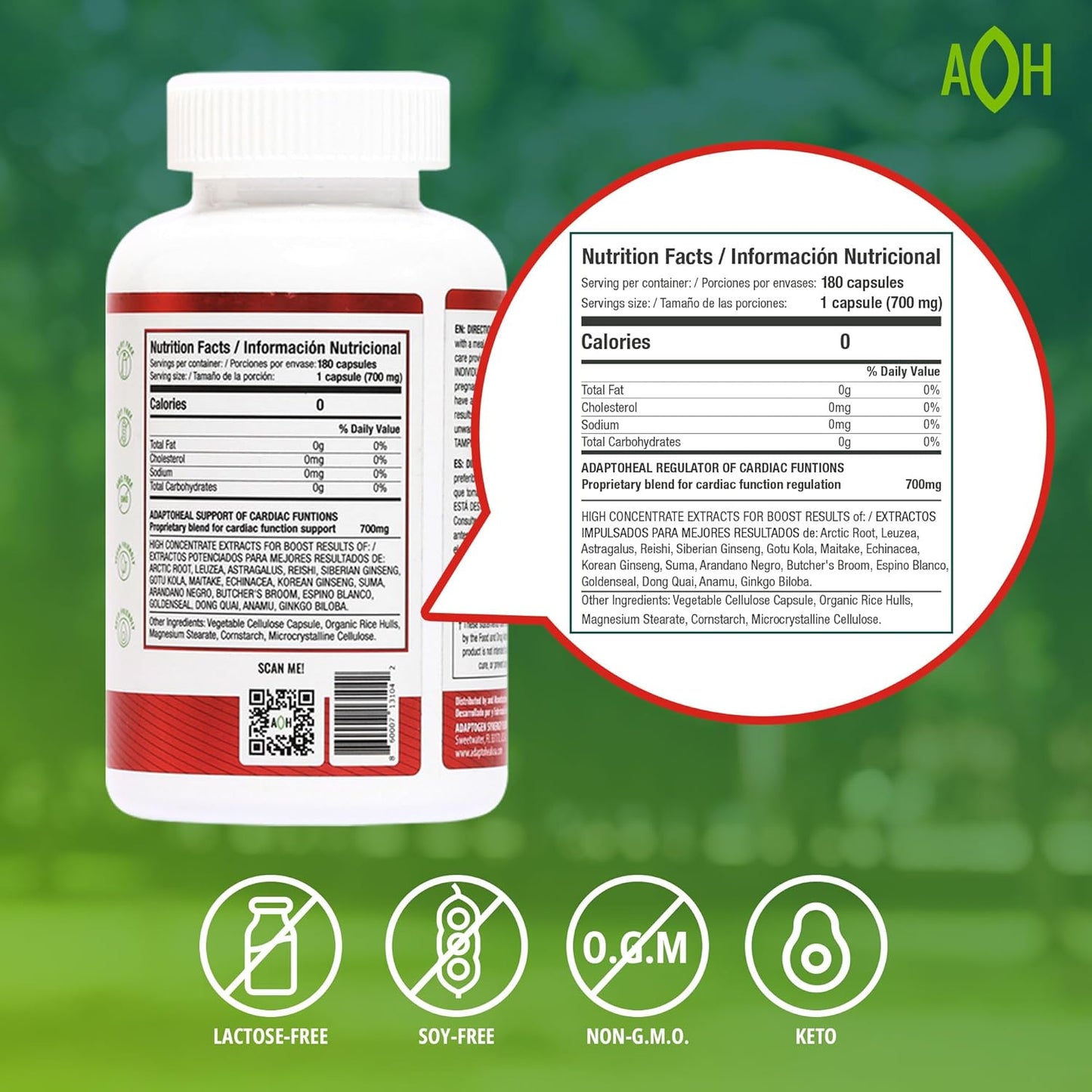 180 Capsules Blood Pressure Support Supplement with Astragalus, Ginkgo Biloba, Rhodiola Rosea, Reishi Mushroom - Cardiovascular & Heart Health Booster