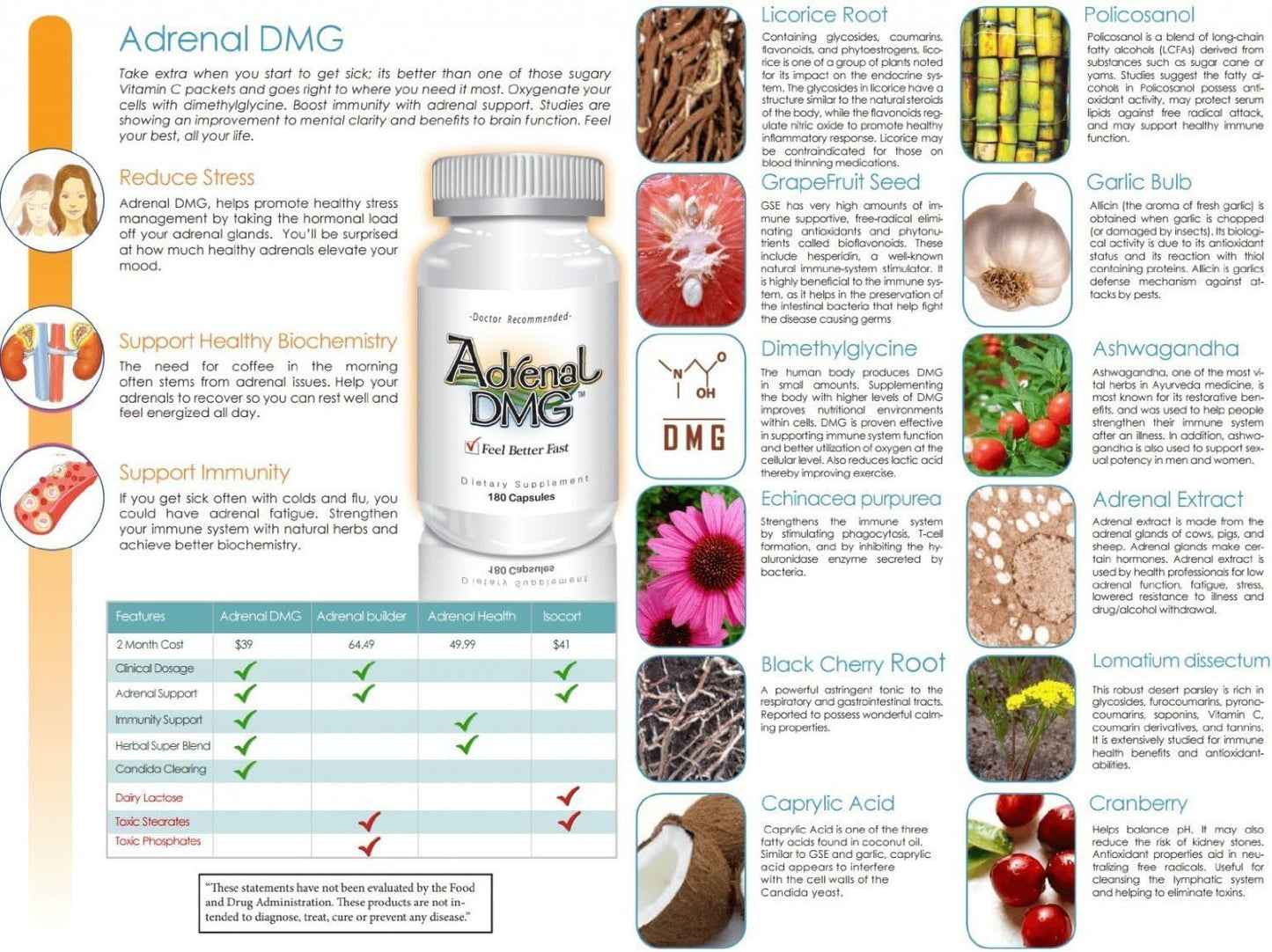 180 Capsules Delgado Protocol Adrenal DMG: All Natural Supplement for Daytime Energy, Sleep, Immune Support, Stress Reduction, and Fatigue Relief