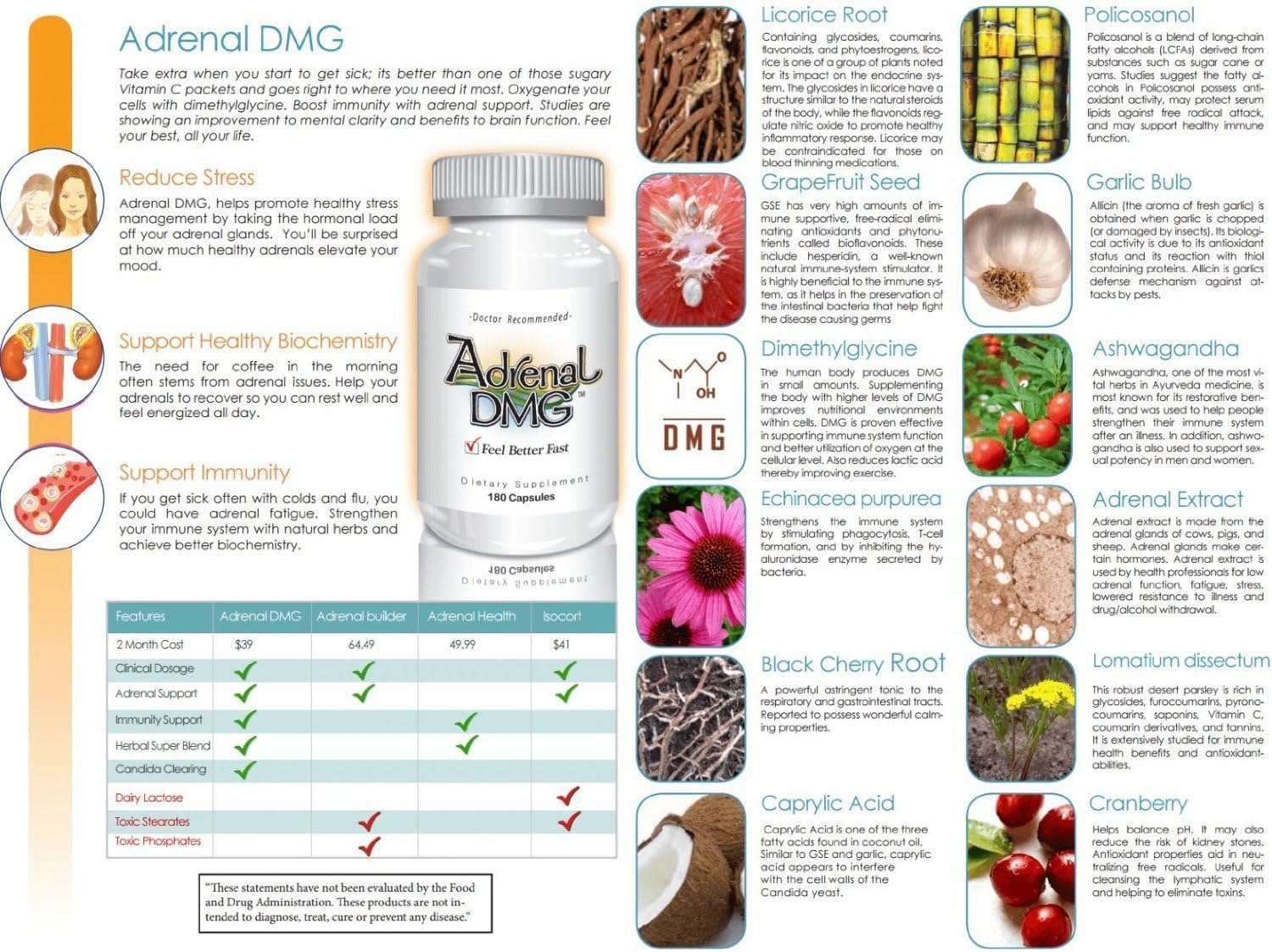 180 Capsules Delgado Protocol Adrenal DMG: All Natural Supplement for Daytime Energy, Sleep, Immune Support, Stress Reduction, and Fatigue Relief