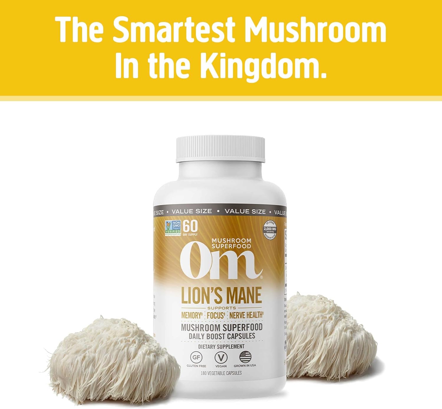 180 Count Lion's Mane Mushroom Capsules for Memory, Focus, and Mood Support