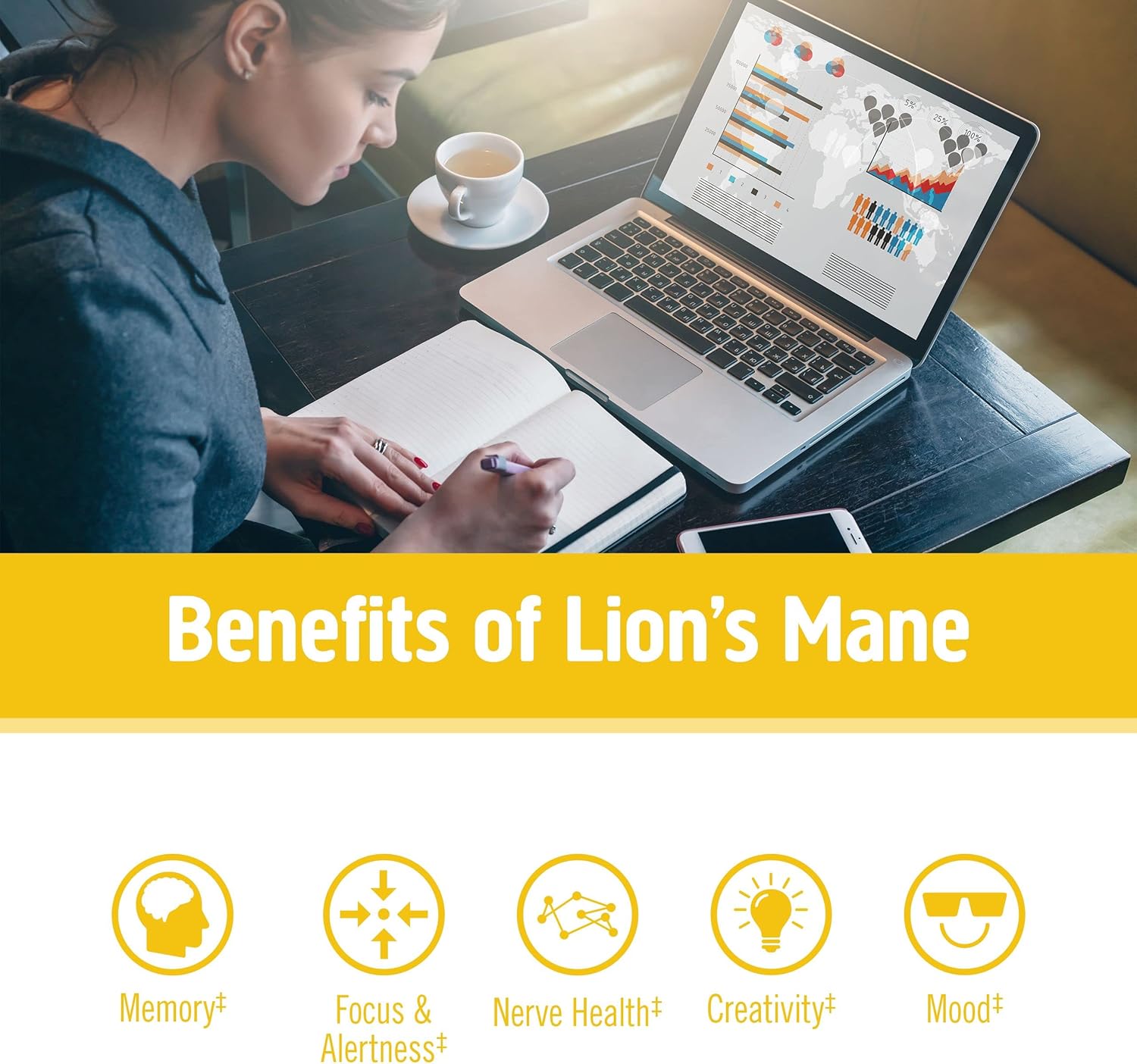 180 Count Lion's Mane Mushroom Capsules for Memory, Focus, and Mood Support