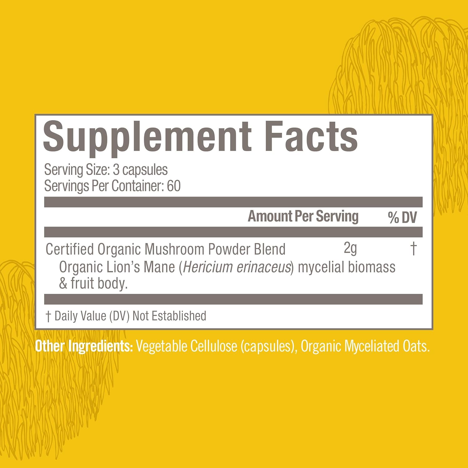 180 Count Lion's Mane Mushroom Capsules for Memory, Focus, and Mood Support