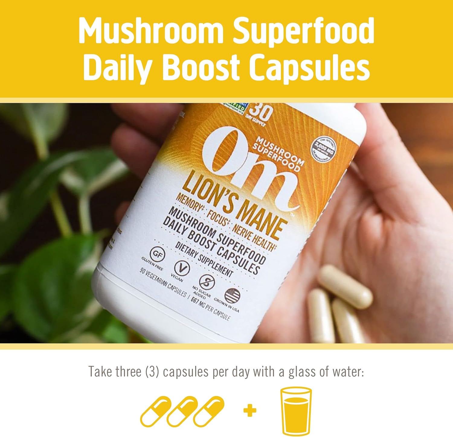 180 Count Lion's Mane Mushroom Capsules for Memory, Focus, and Mood Support