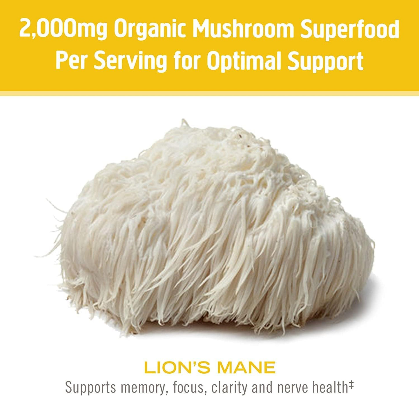 180 Count Lion's Mane Mushroom Capsules for Memory, Focus, and Mood Support