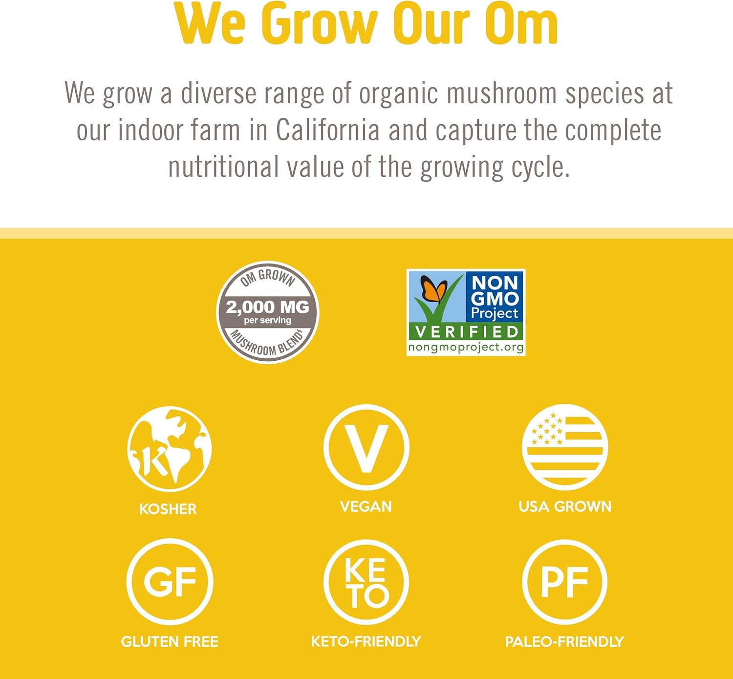 180 Count Lion's Mane Mushroom Capsules for Memory, Focus, and Mood Support