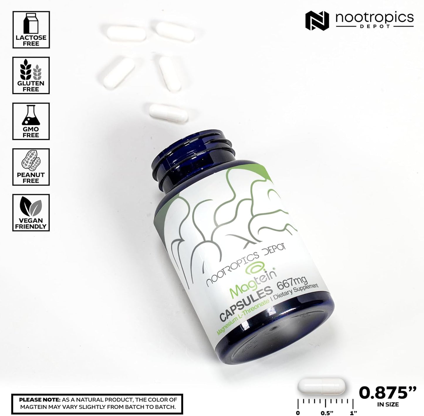180-Count Nootropics Depot Magtein Magnesium L-Threonate Capsules - Natural Mineral Supplement for Energy and Cognitive Function Boost