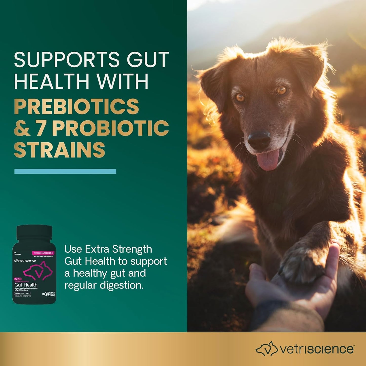 180 Count VetriScience Extra Strength Gut Health Capsules for Dogs & Cats - Probiotic & Prebiotic Digestive Supplement - Supports Digestion, Immune System, Gas & Diarrhea - 7.5 Billion CFU