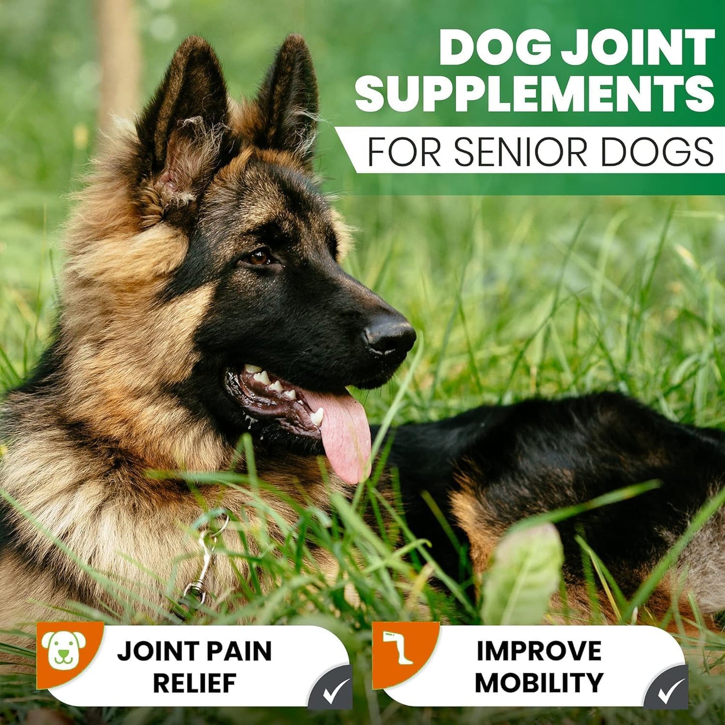 180 Count Zenpaws Turmeric and Curcumin Tablets for Dogs - Promotes Joint Health, Skin Allergy Relief, Hot Spot Treatment, and Coat Health - Salmon Oil and Duck Flavor Supplement