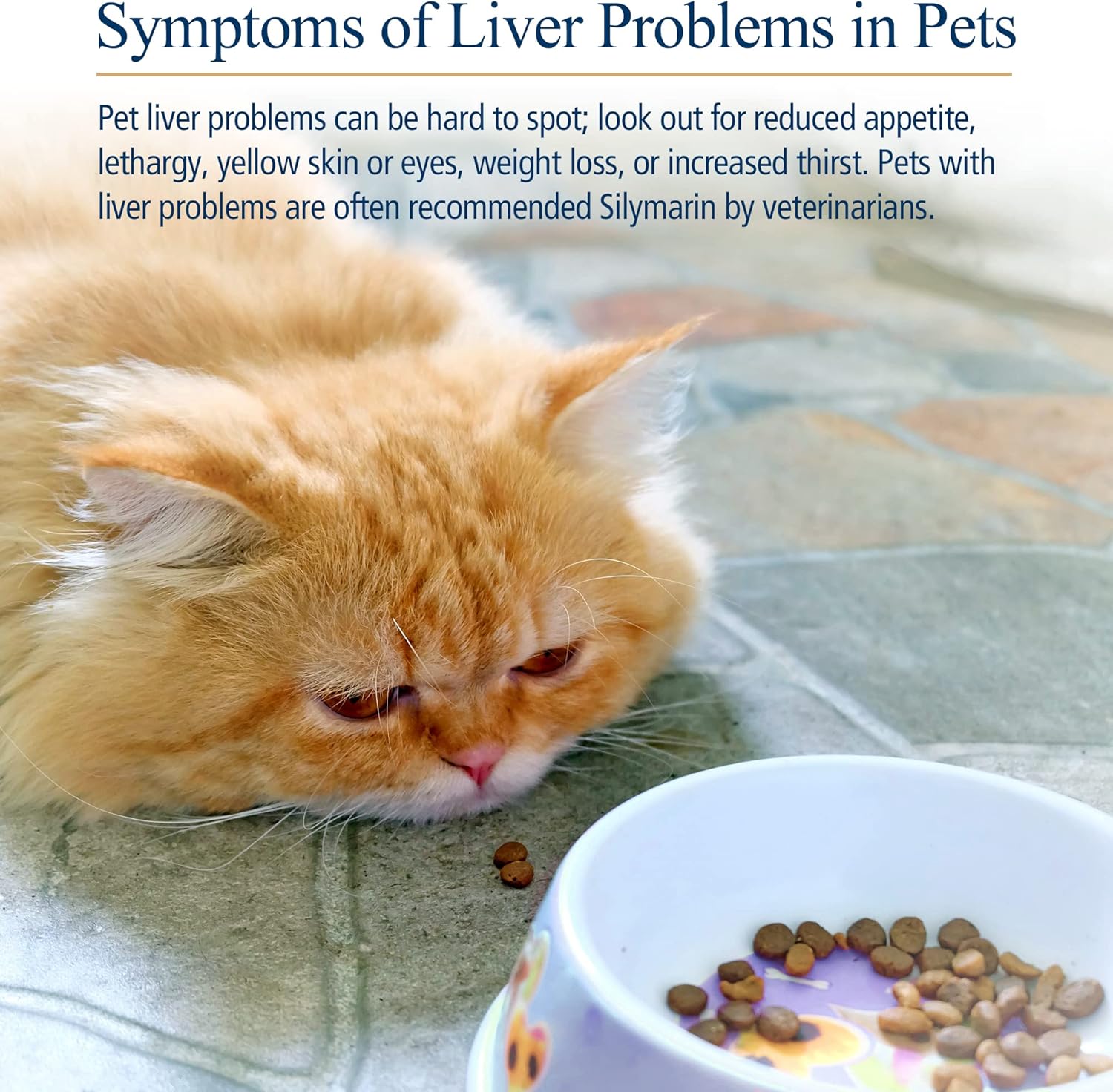 180 ct. Rx Vitamins Hepato Support Milk Thistle Supplement for Dogs & Cats - 100mg Silymarin Capsules for Healthy Liver Function in Pets