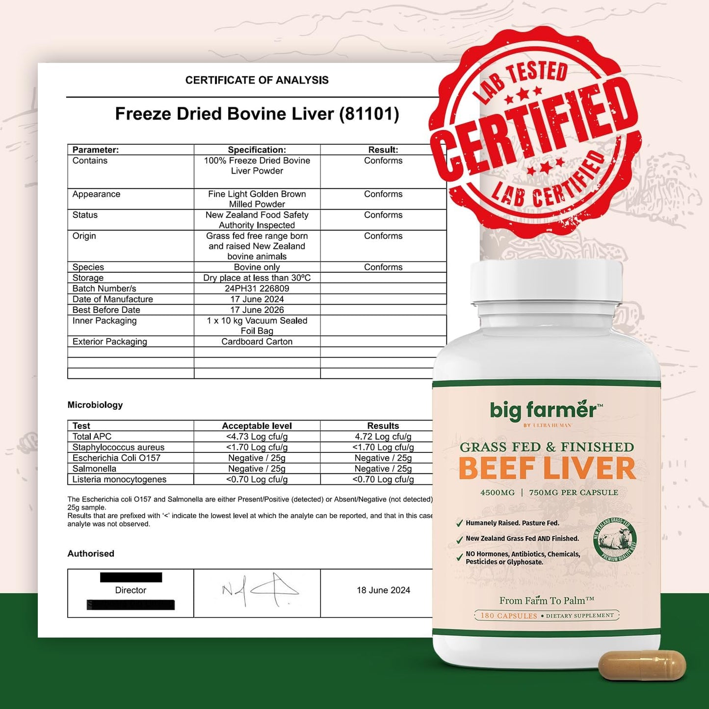 180 Grass-Fed Beef Liver Capsules for Energy, Detox, Immunity & Wellness - Non-GMO Freeze Dried Liver Supplement