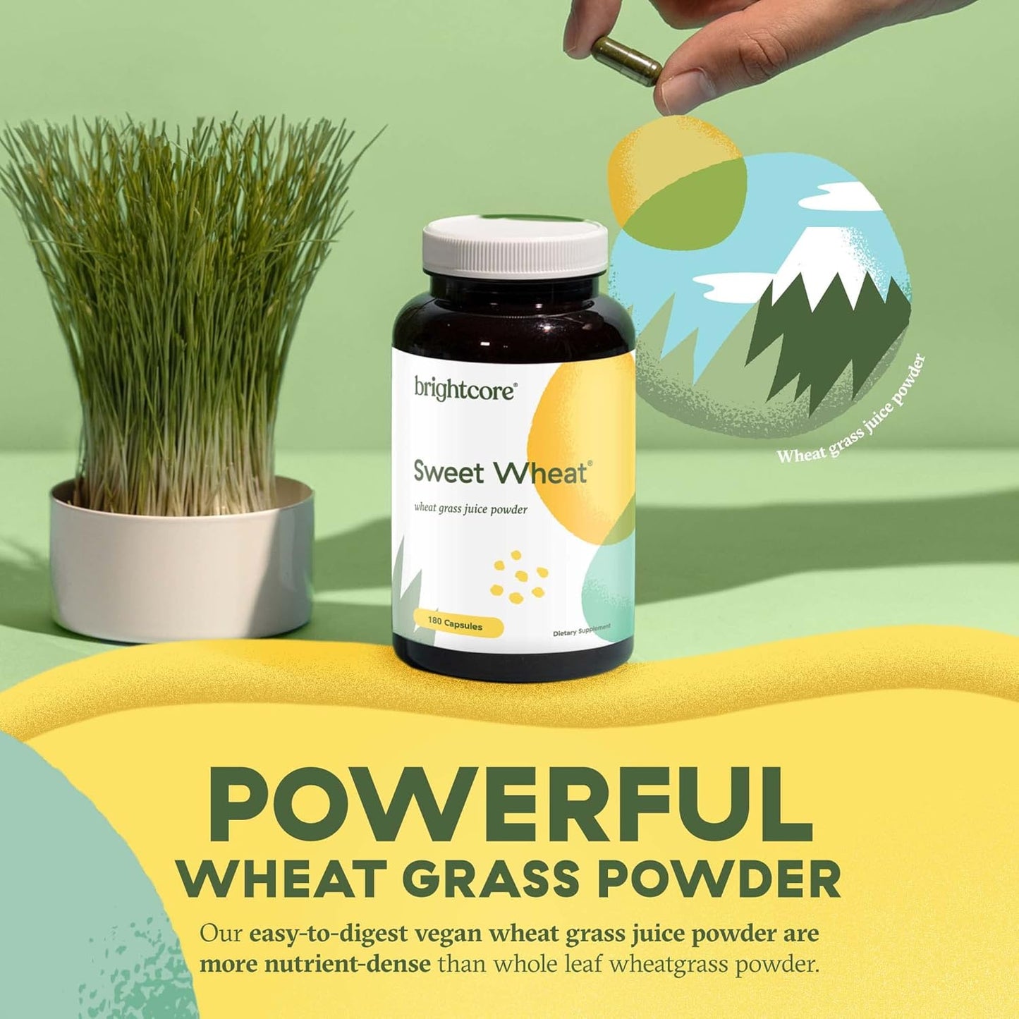 180 Ready-to-Drink Athletic Greens Capsules with Digestive Enzymes for Digestive Health and Immune Boost