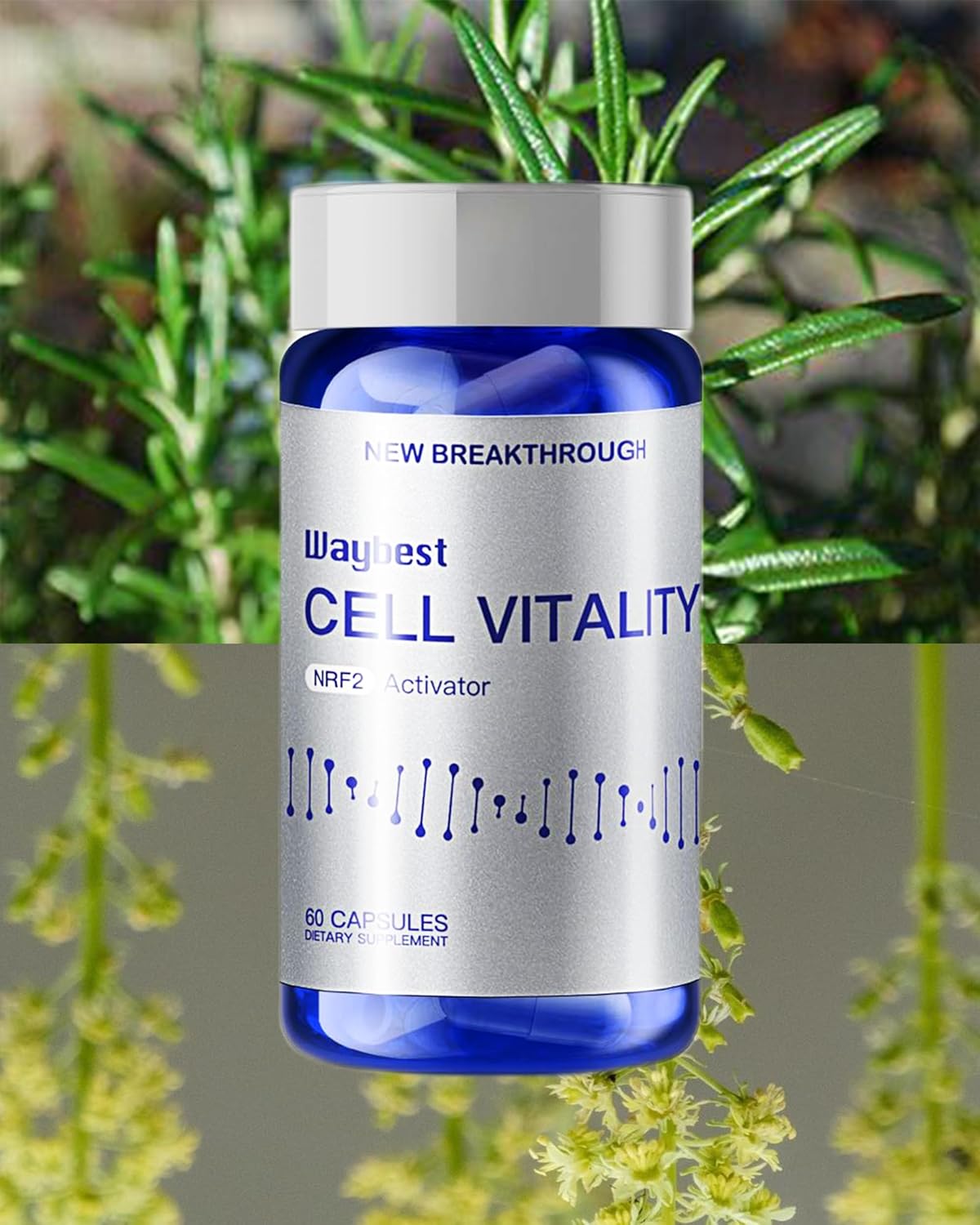 180 Vegan Capsules of EBAT Oxidative Stress Relief Formula with NRF2 Activator for Anti-Aging Health & Natural Antioxidant Support