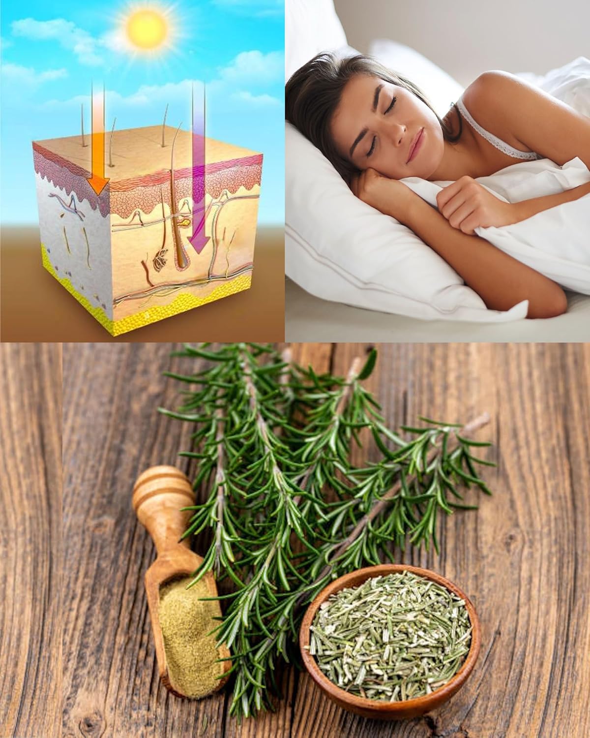 180 Vegan Capsules of EBAT Oxidative Stress Relief Formula with NRF2 Activator for Anti-Aging Health & Natural Antioxidant Support