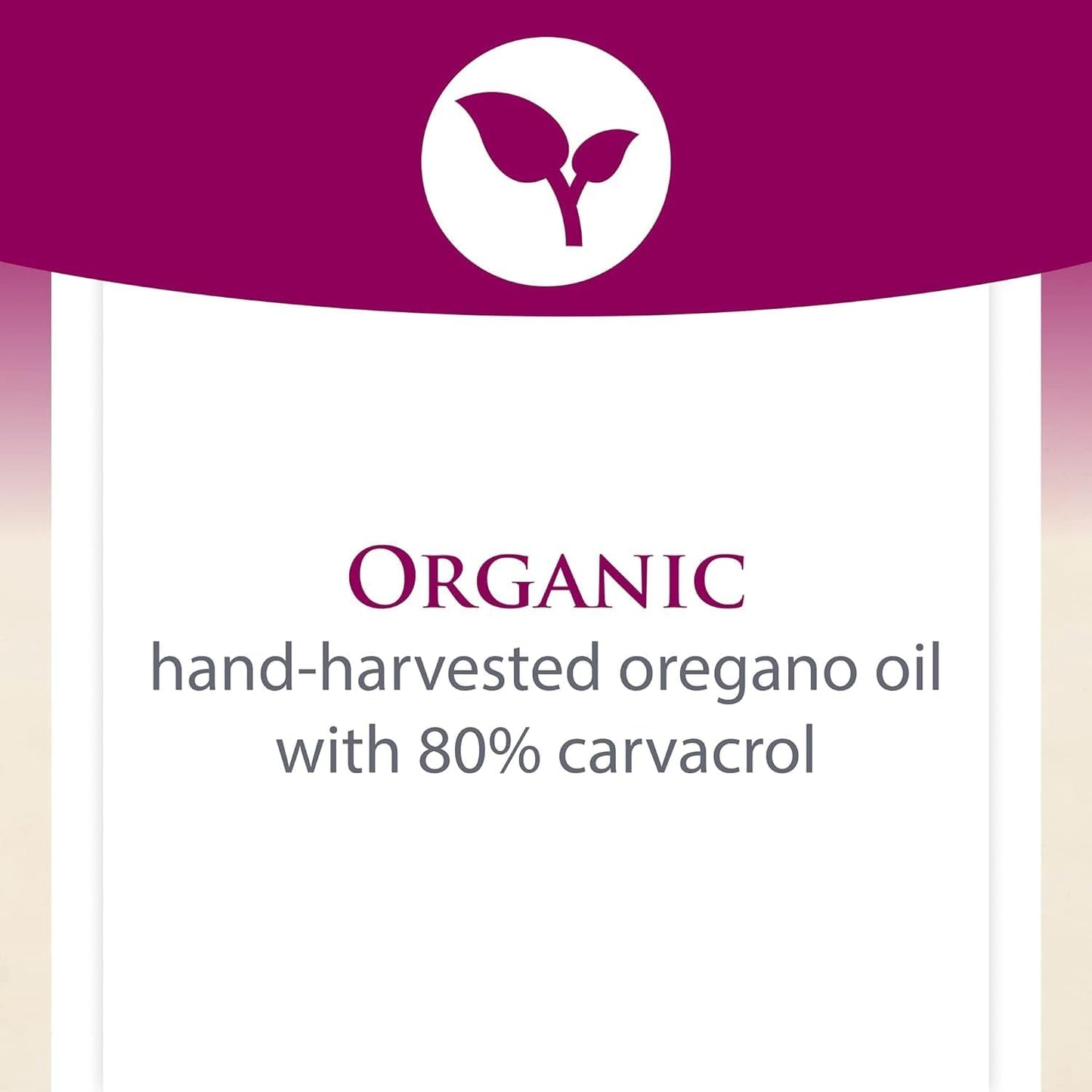 180mg Oil of Oregano Softgels with Extra Virgin Olive Oil for Health (30 Servings)