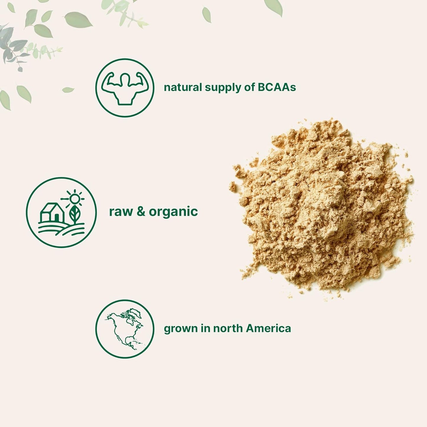 1KG Organic Pea Protein Powder from North America | Vegan Meatless Supplement with BCAAs | Non-GMO, Soy Free