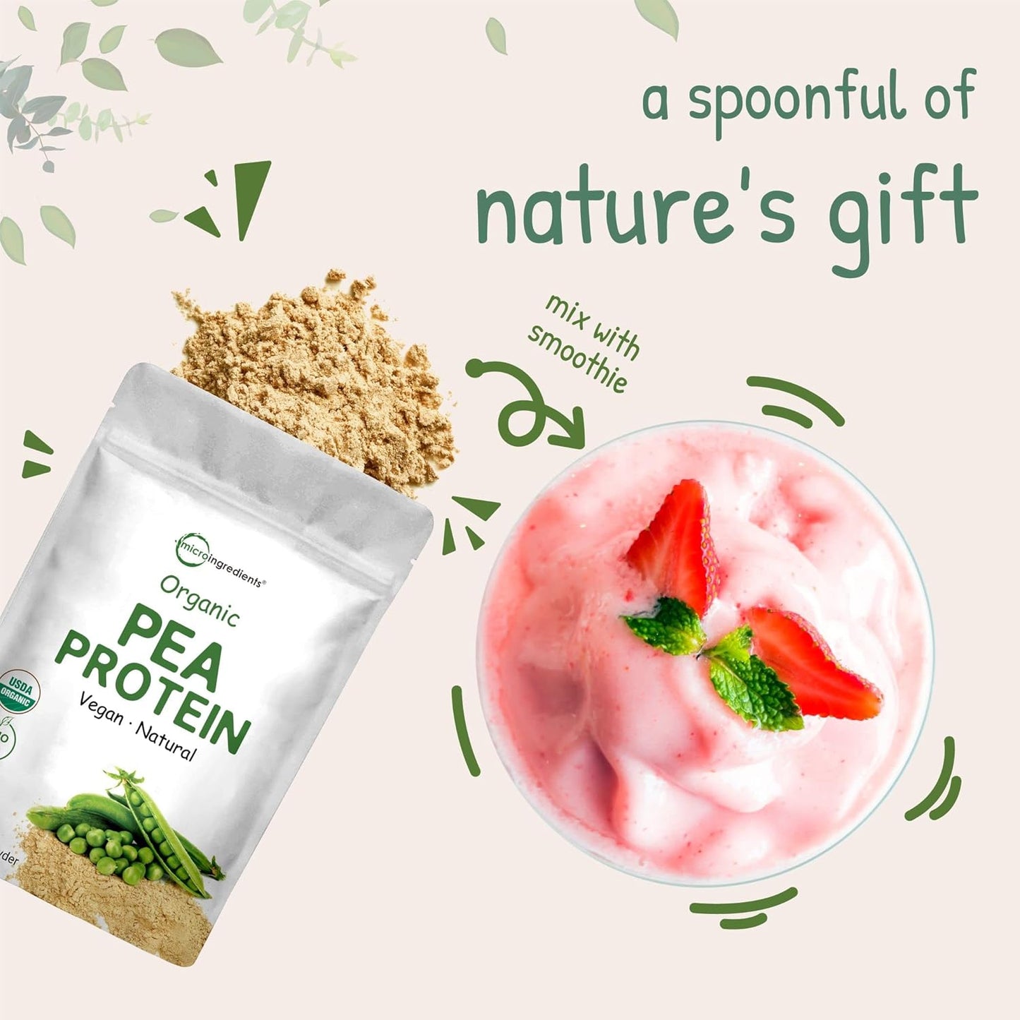 1KG Organic Pea Protein Powder from North America | Vegan Meatless Supplement with BCAAs | Non-GMO, Soy Free