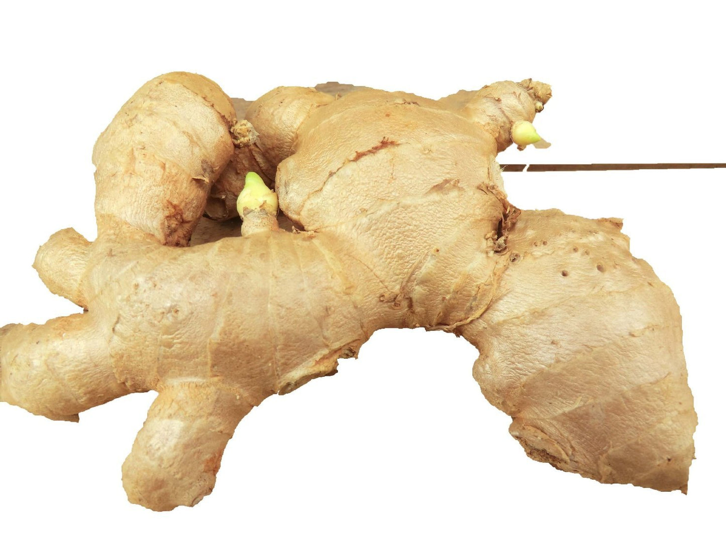 1lb Fresh Ginger Root from Om India Plaza - High Quality, Organic Spice for Cooking and Health Benefits