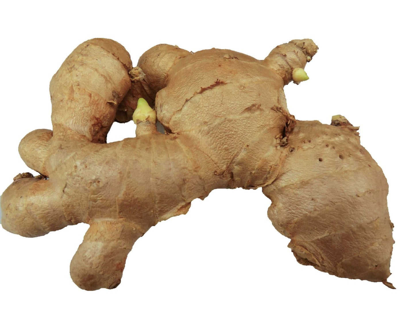1lb Fresh Ginger Root from Om India Plaza - High Quality, Organic Spice for Cooking and Health Benefits