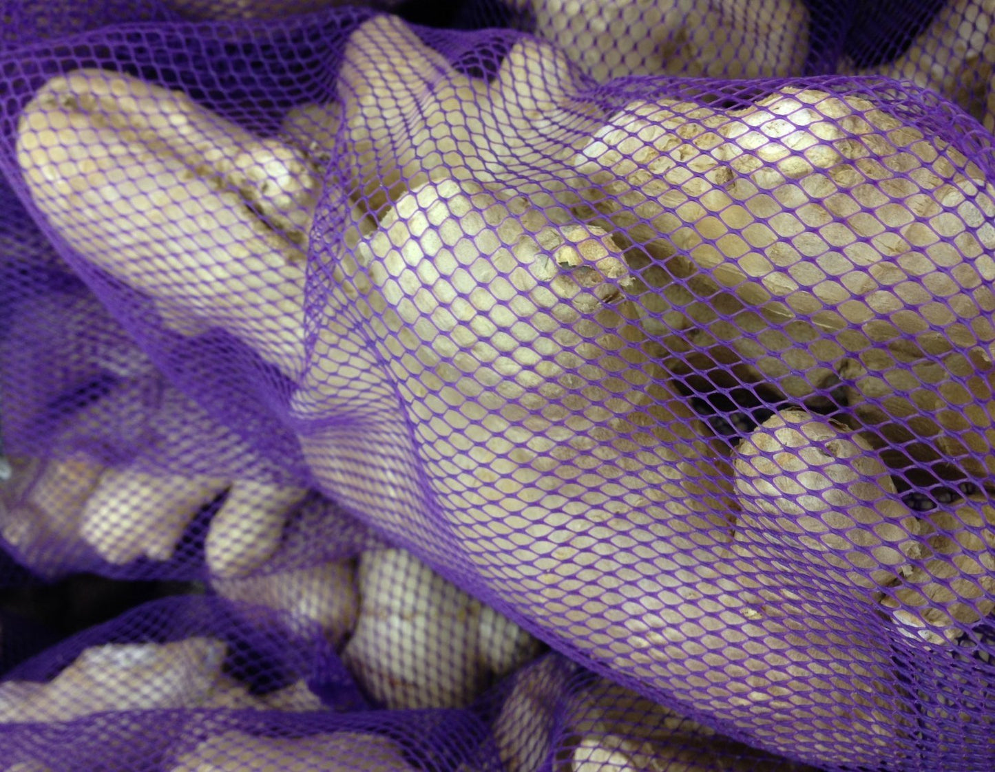 1lb Fresh Ginger Root from Om India Plaza - High Quality, Organic Spice for Cooking and Health Benefits