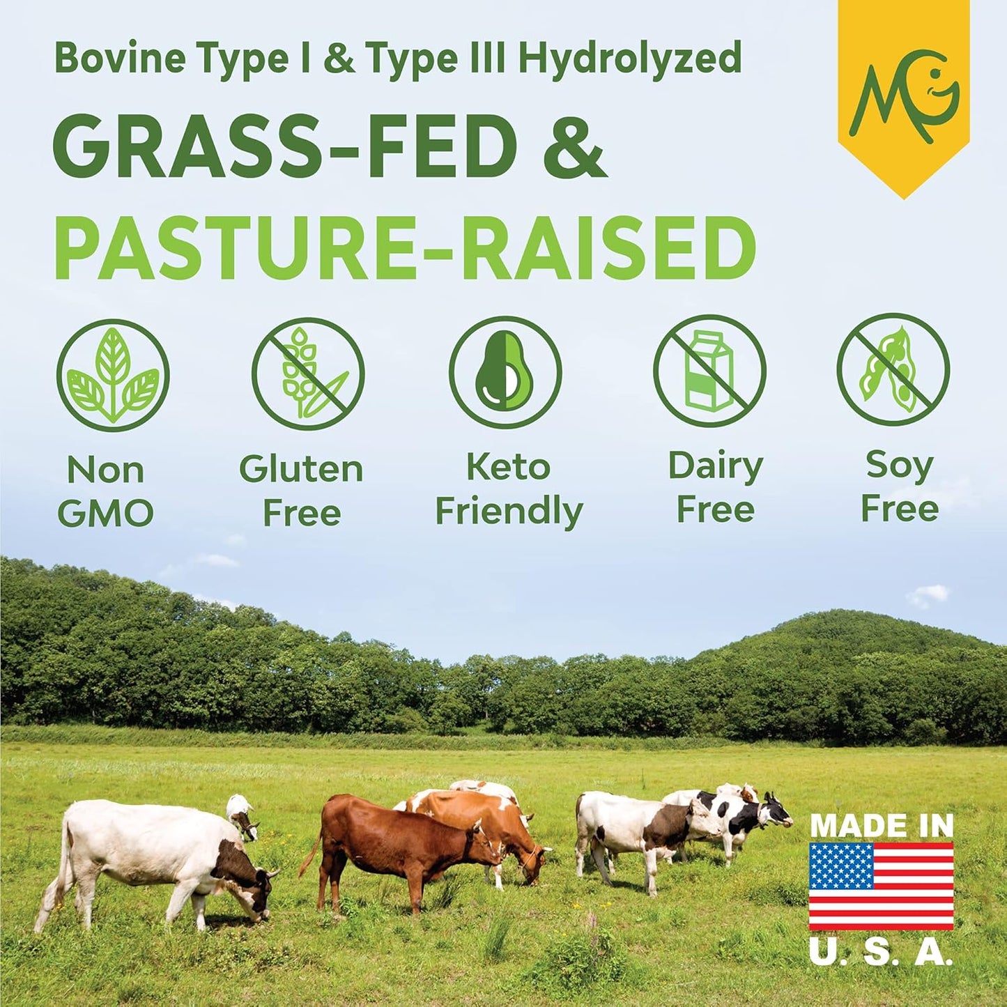 1LB Pumpkin Spice Grass-Fed Collagen Peptides Powder - Pure Type I & III Bovine Hydrolyzed Collagen - Non-GMO, Hormone/Soy/Gluten/Dairy Free - Keto-Friendly