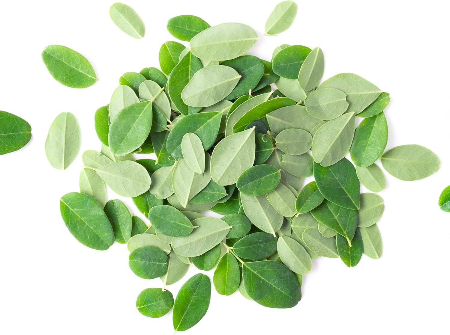 1lb Pure Moringa Oleifera Leaf Extract - Natural Herbal Supplement with Original Ingredients