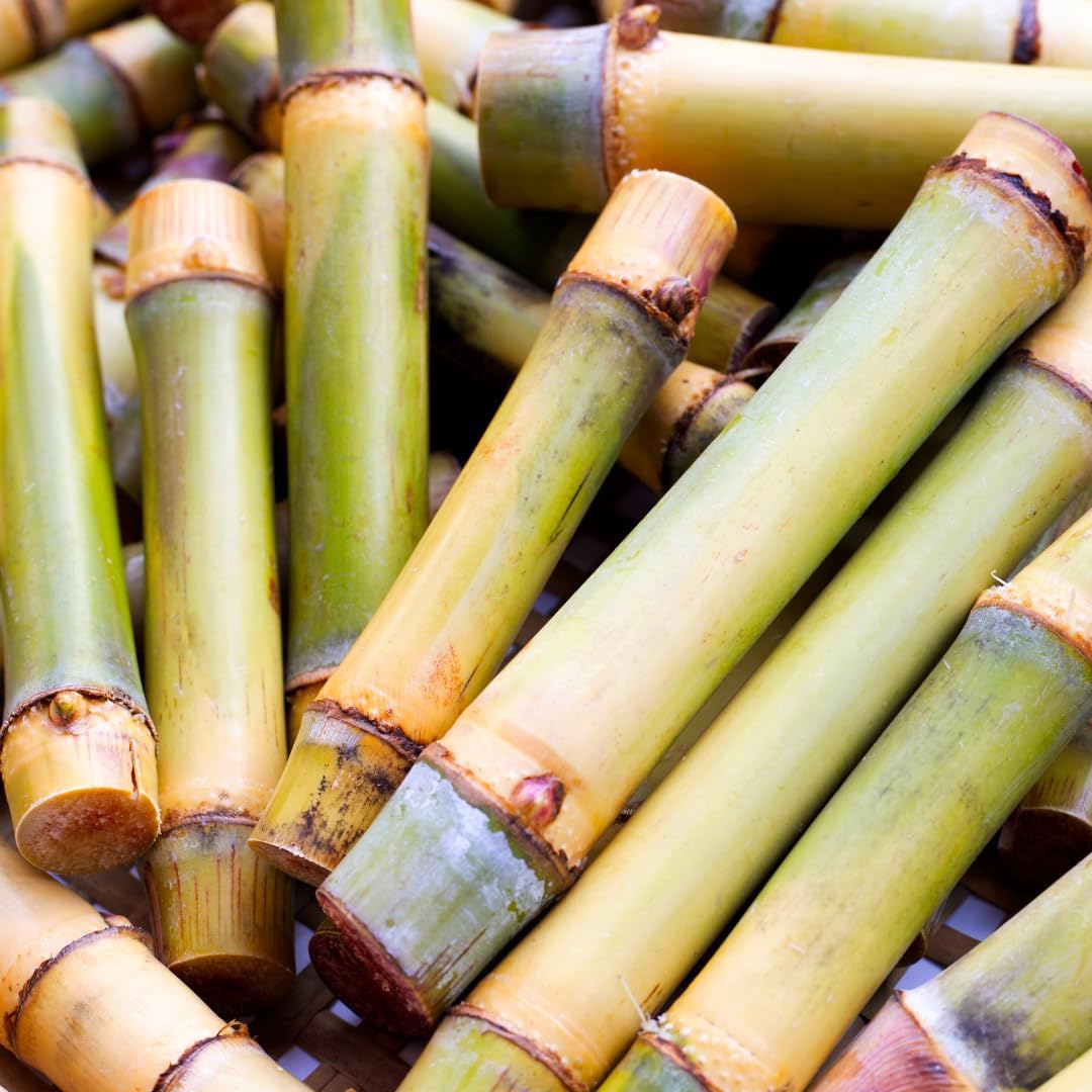 1lb Pure Organic Bamboo Extract - Non-GMO, Gluten-Free, Lab-Verified Herbal Supplement