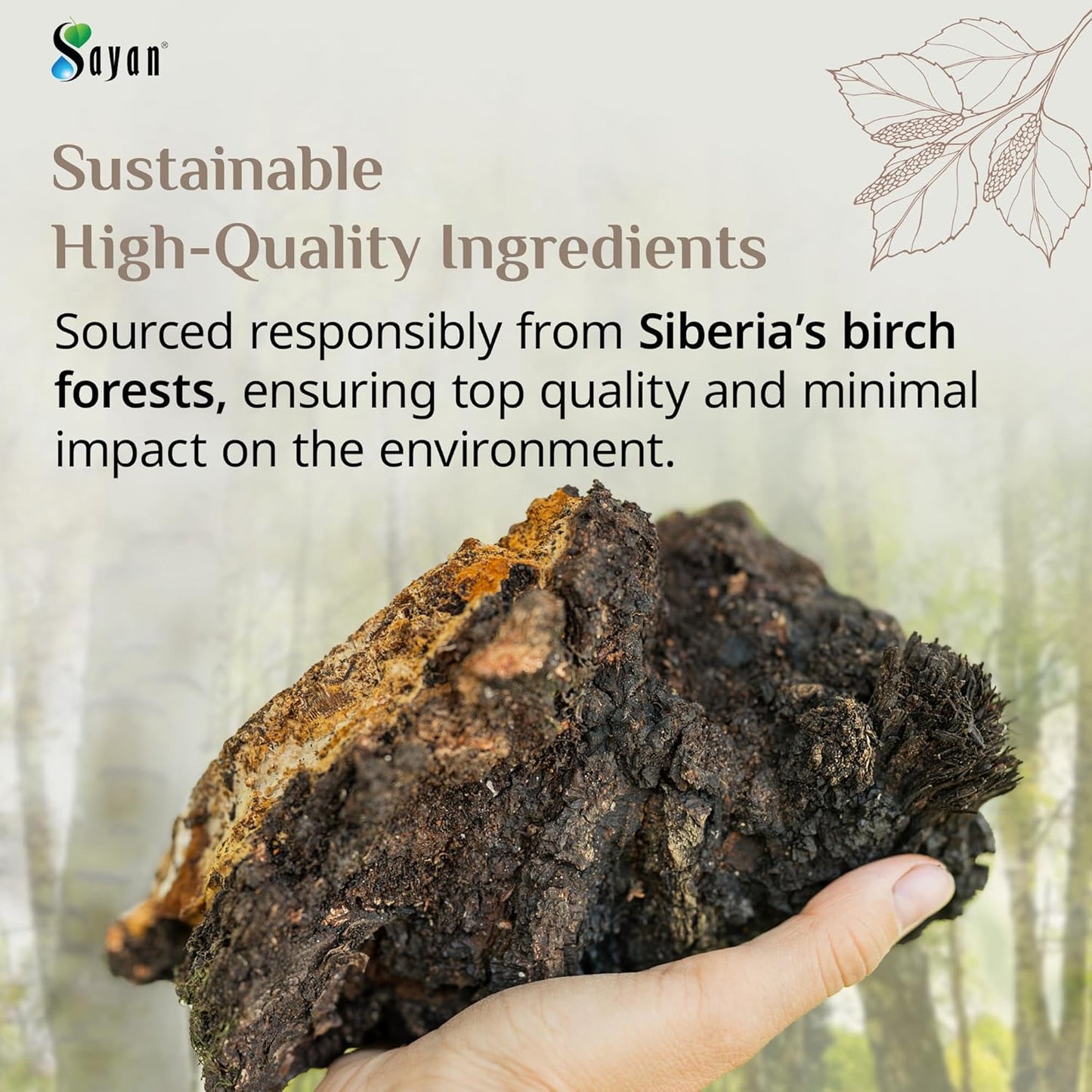 1lb Sayan Siberian Raw Coarse Chaga Powder - Premium Wild Harvested Antioxidant Tea for Immune System - Energy and Clarity - Non-GMO